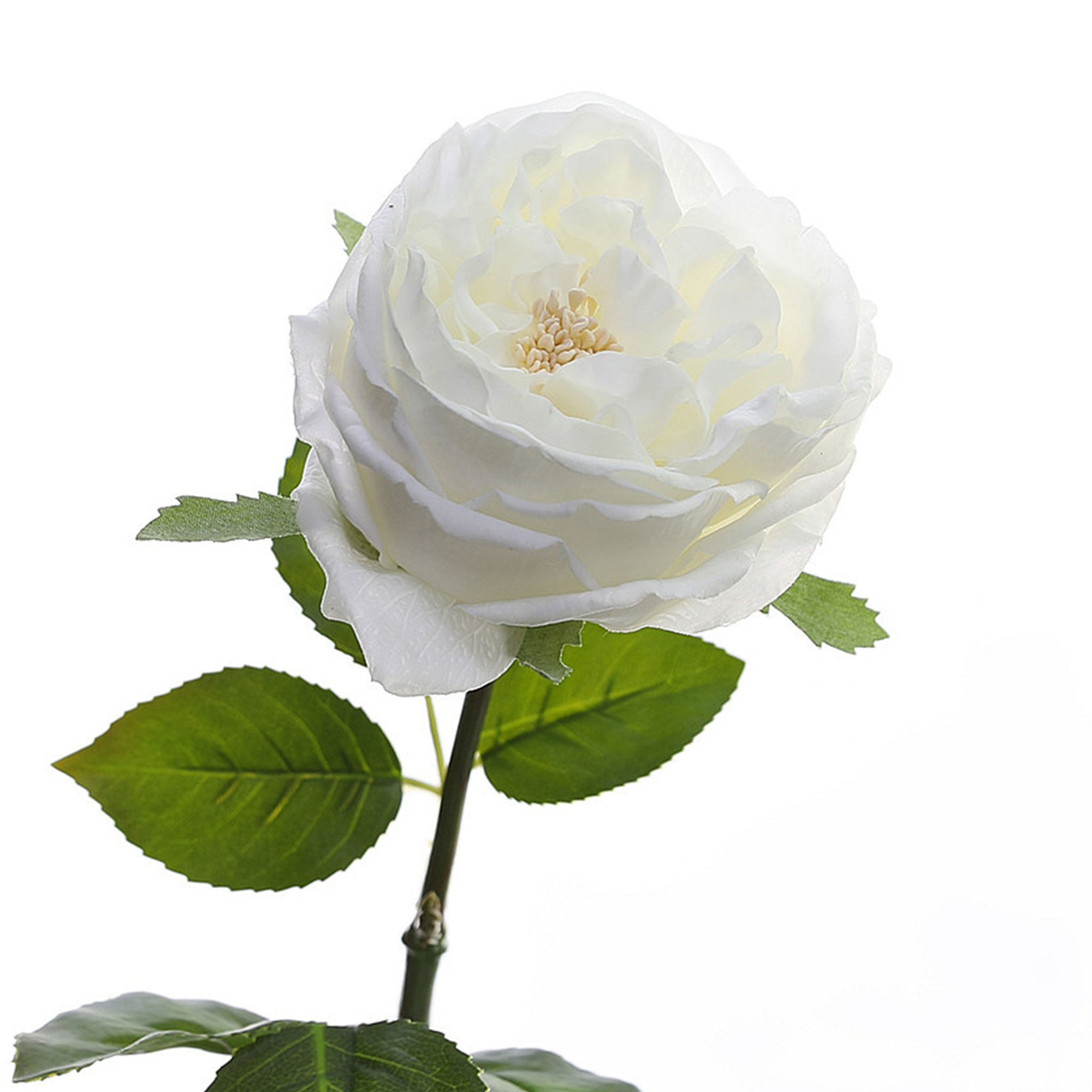 Austin Cabbage Roses Real Touch Flowers
