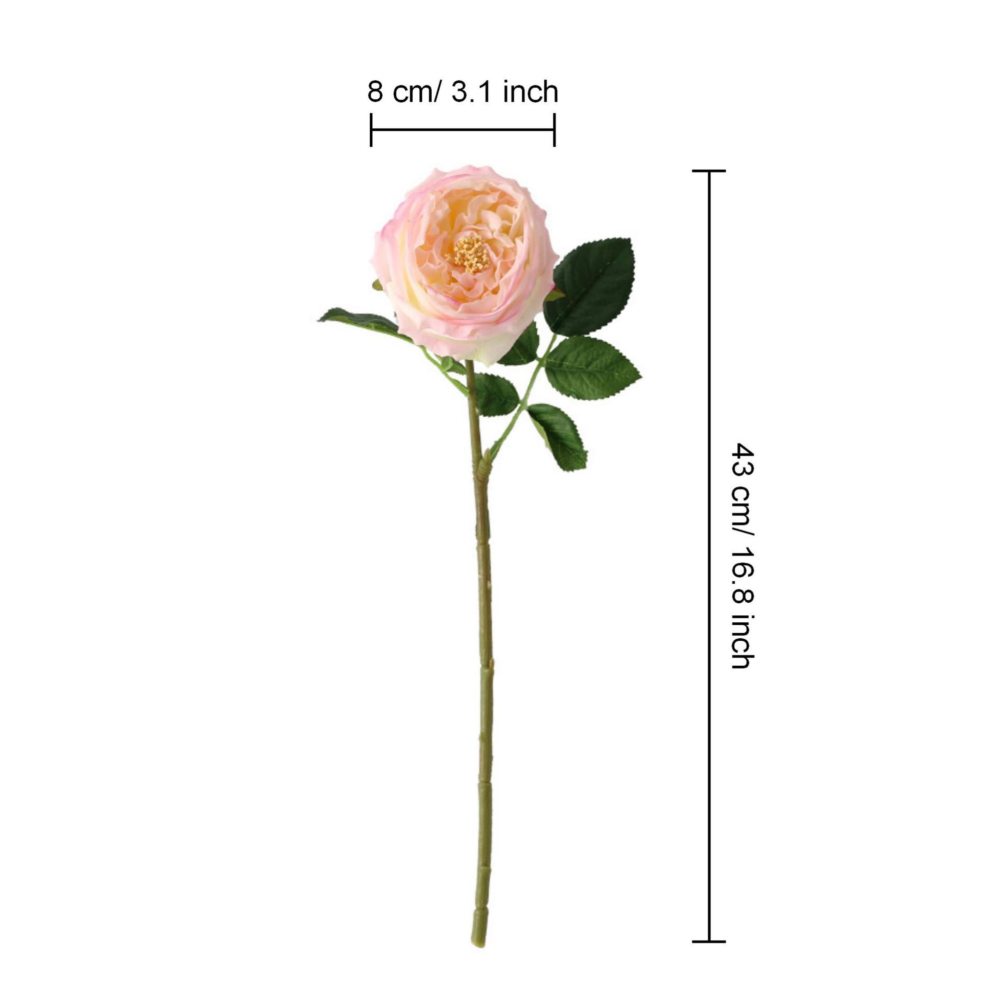 Austin Cabbage Roses Real Touch Flowers