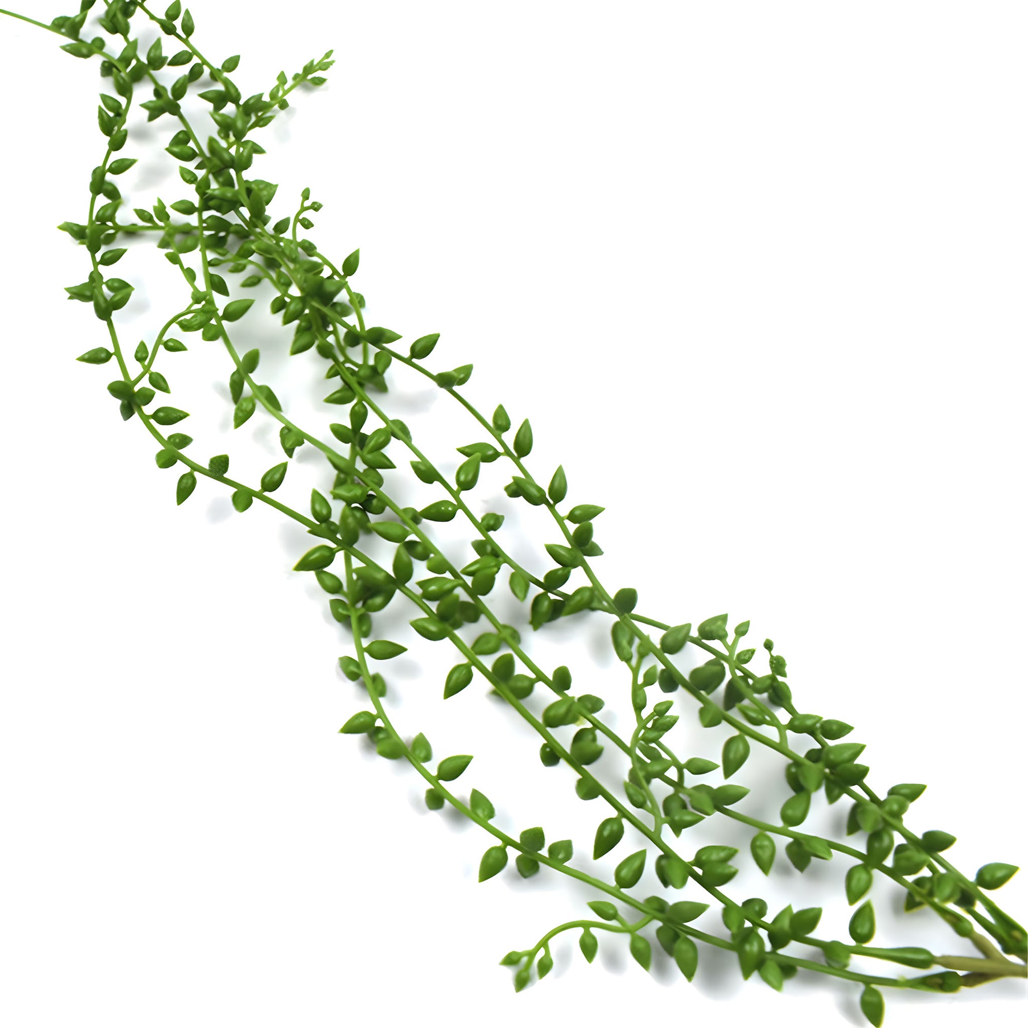 Fake Tear of Lover Wall Faux Hanging Plant Succulents Garden Wreath 6 Bunches