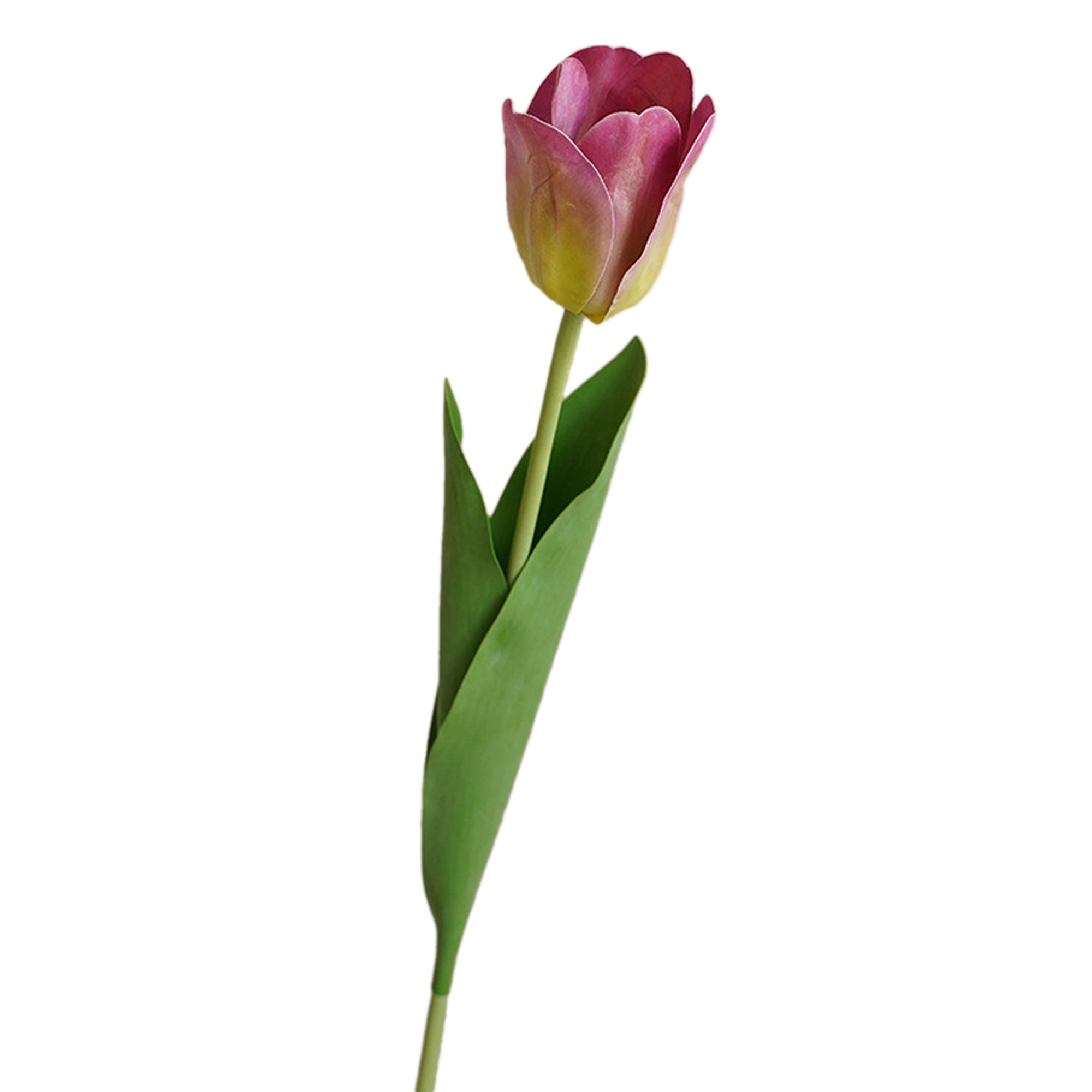 Real Touch lifelike Blooming Tulips 26"