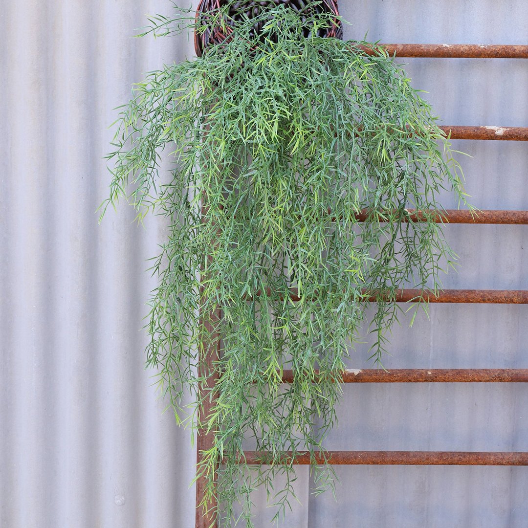 Fake Outdoor Wall Hangings Plants Plastic Sprengeri Grass 2 Bushes