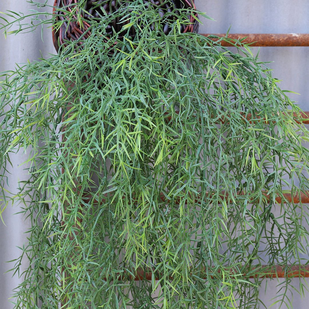 Fake Outdoor Wall Hangings Plants Plastic Sprengeri Grass 2 Bushes