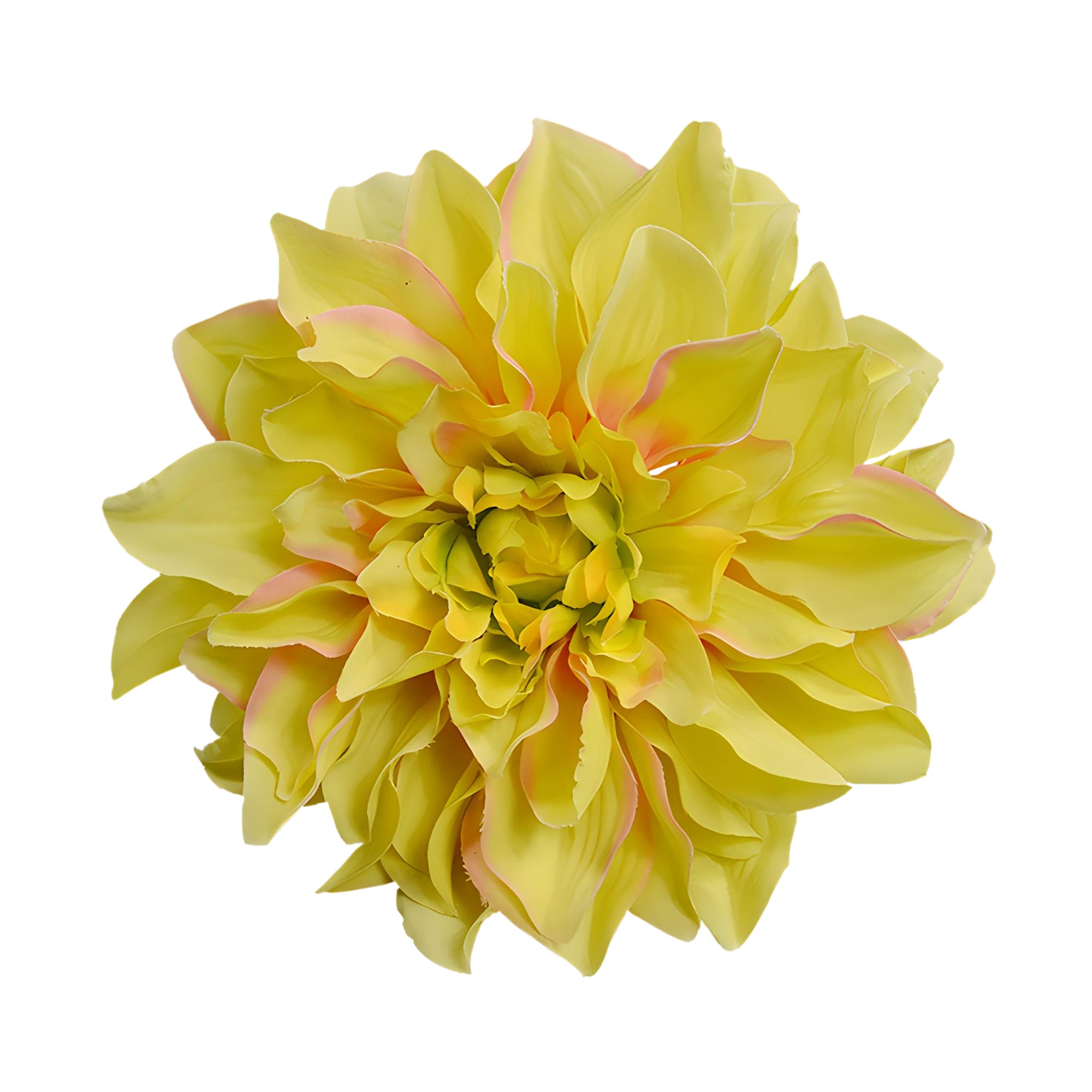 Wholesale Bulk Large Silk Dahlia Flowers 16cm