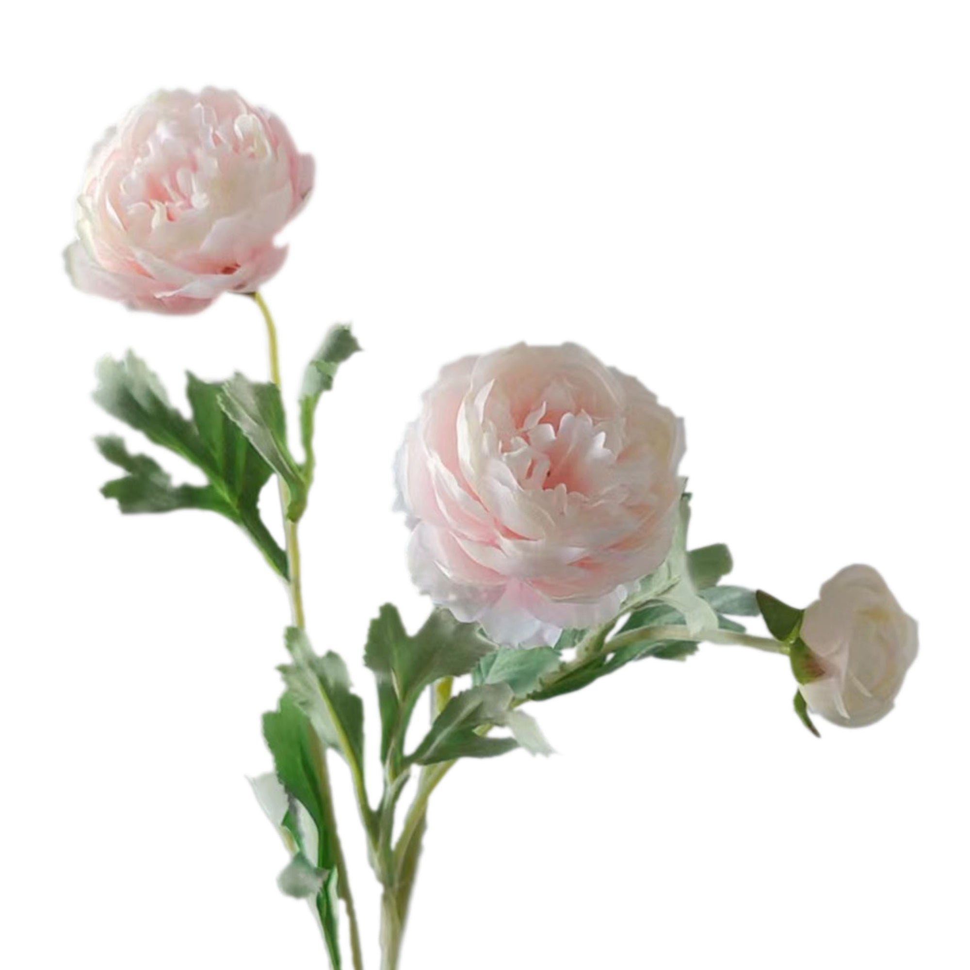 Artificial Ranunculus Flower Branch for Home Arrangement