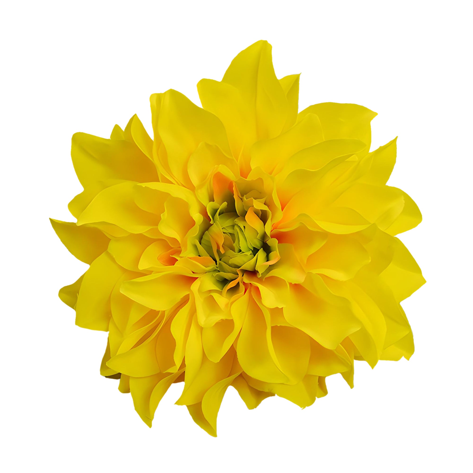 Wholesale Bulk Large Silk Dahlia Flowers 16cm