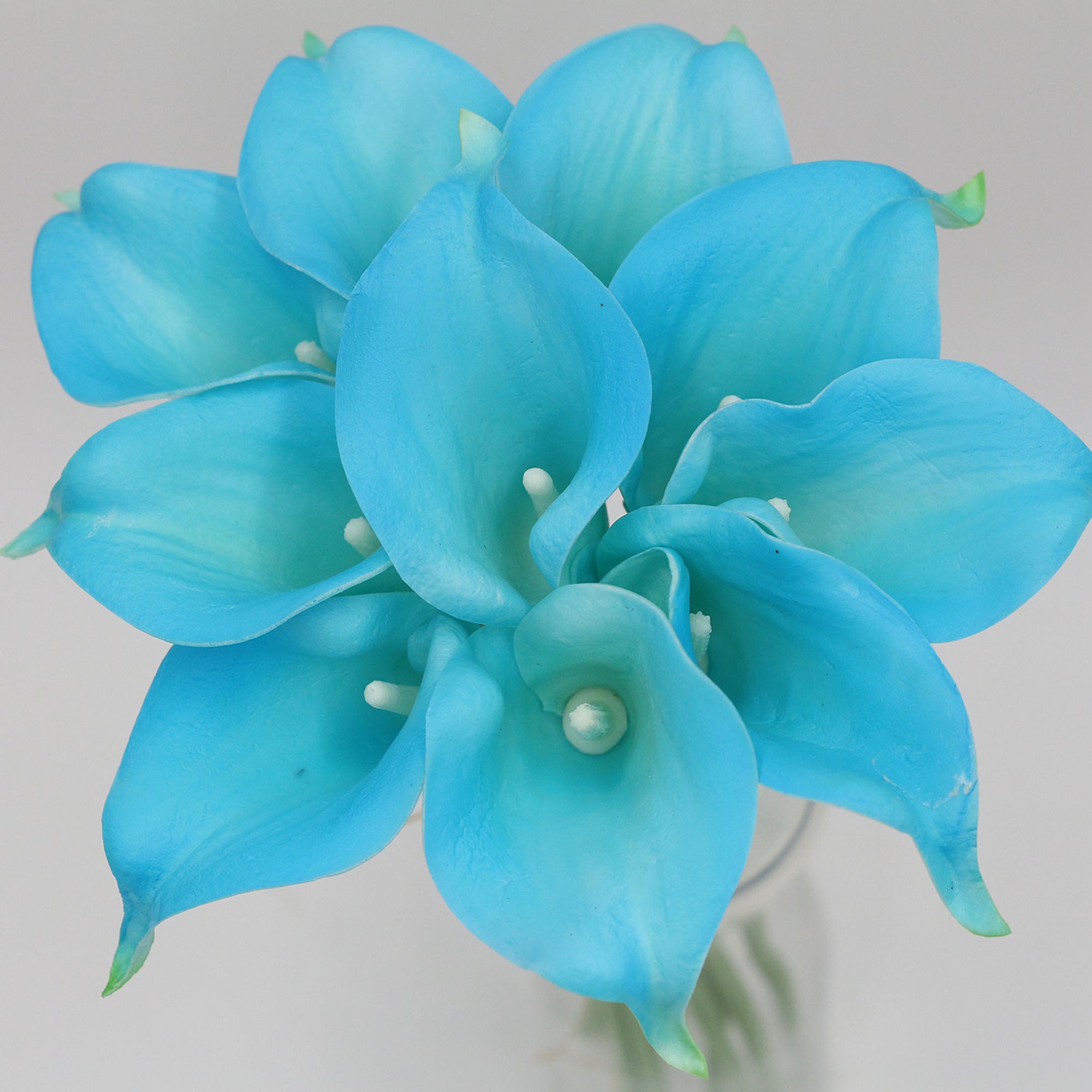 Bulk Calla Lily Malibu Wedding Flowers 10 Bouquets