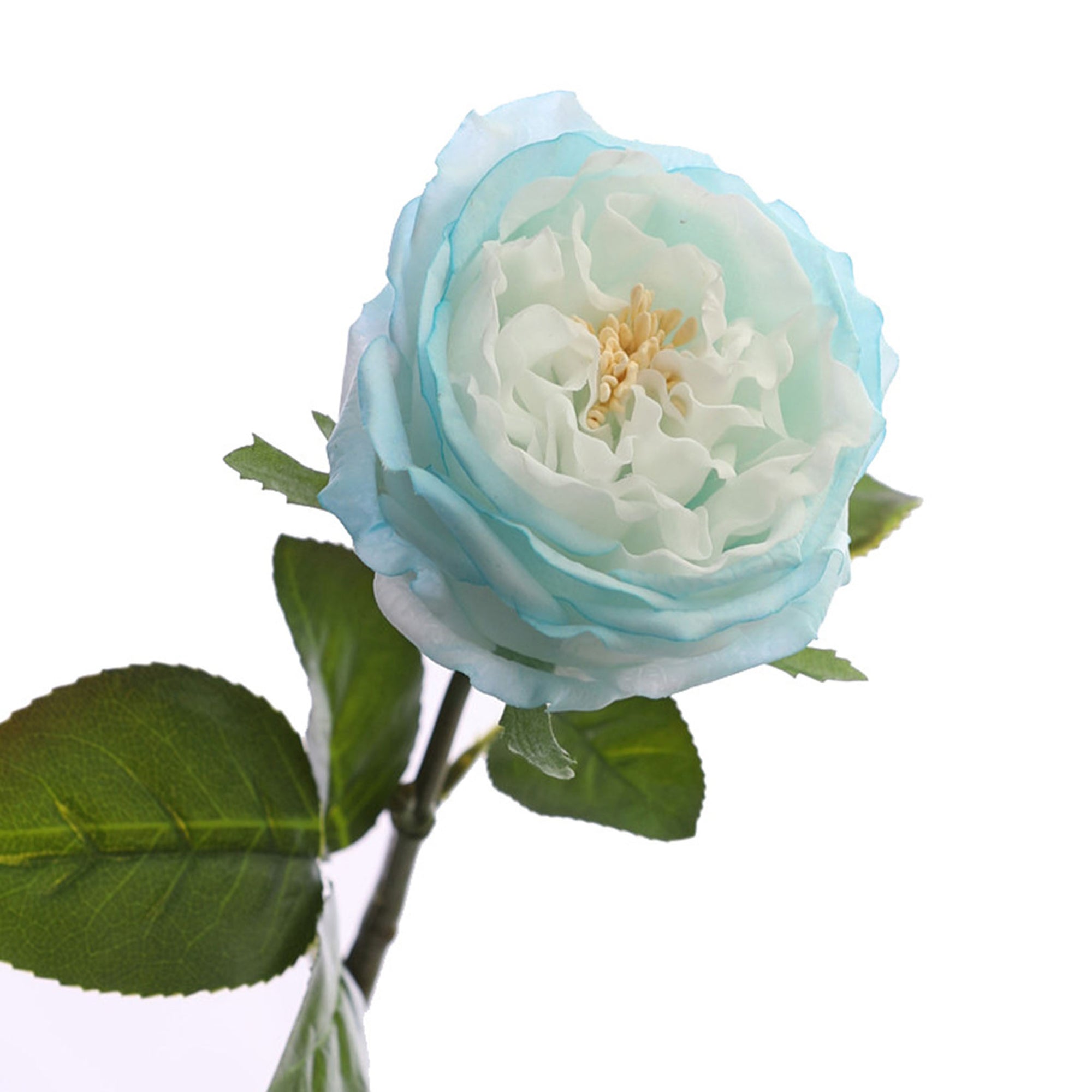 Austin Cabbage Roses Real Touch Flowers
