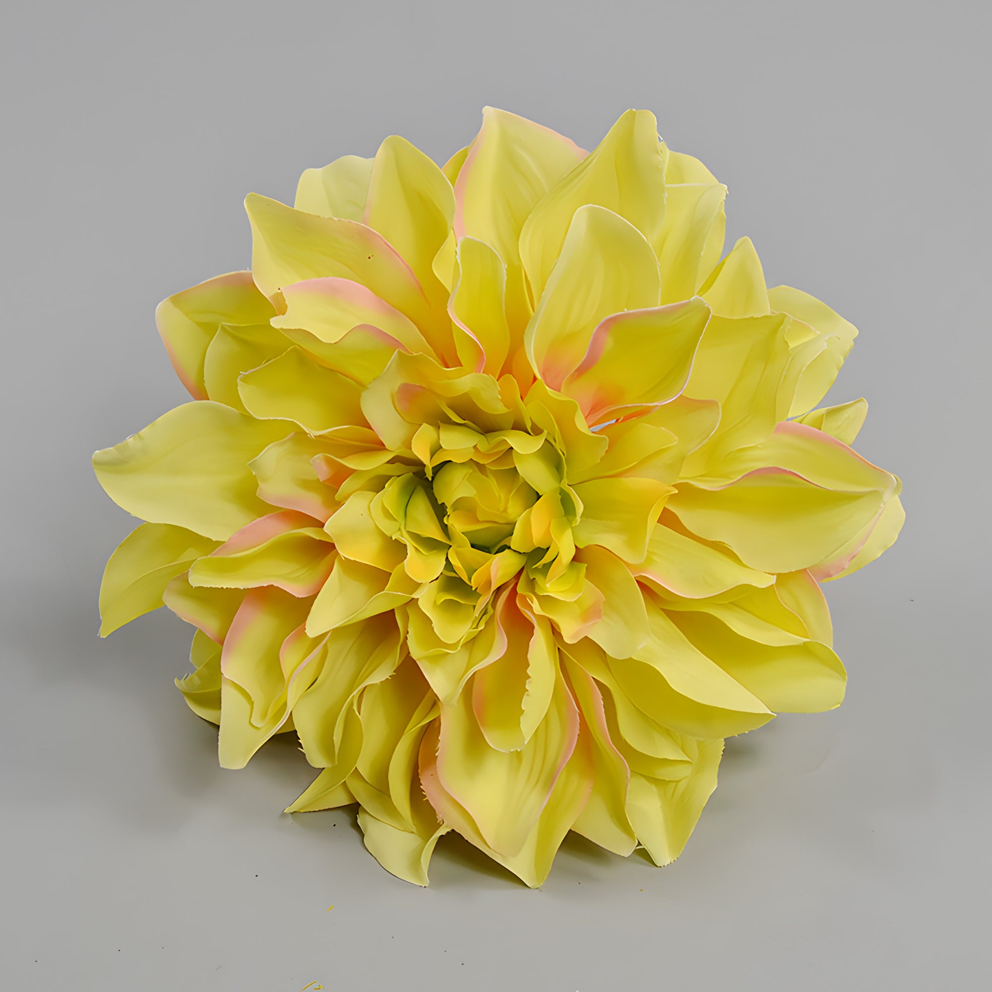Wholesale Bulk Large Silk Dahlia Flowers 16cm