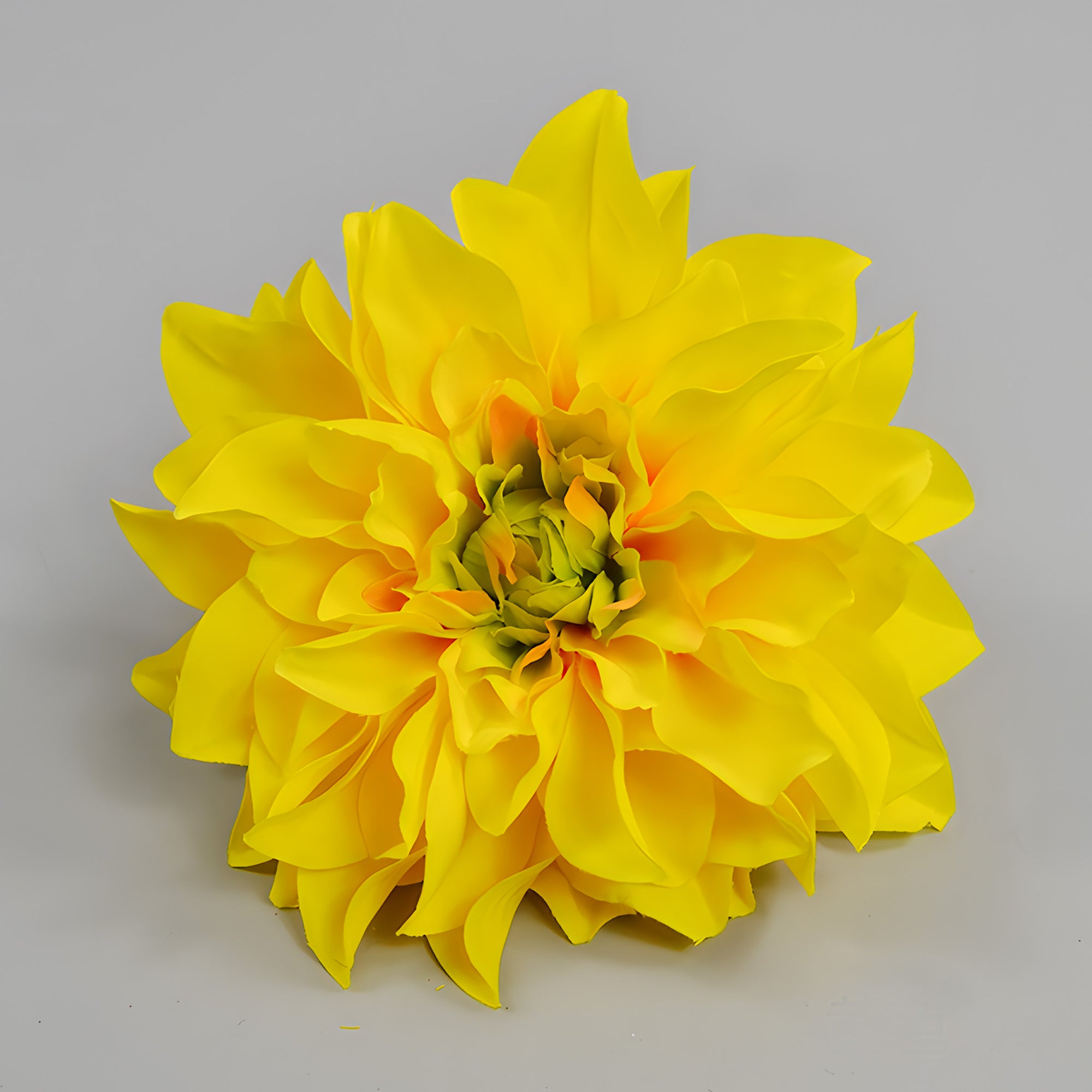 Wholesale Bulk Large Silk Dahlia Flowers 16cm