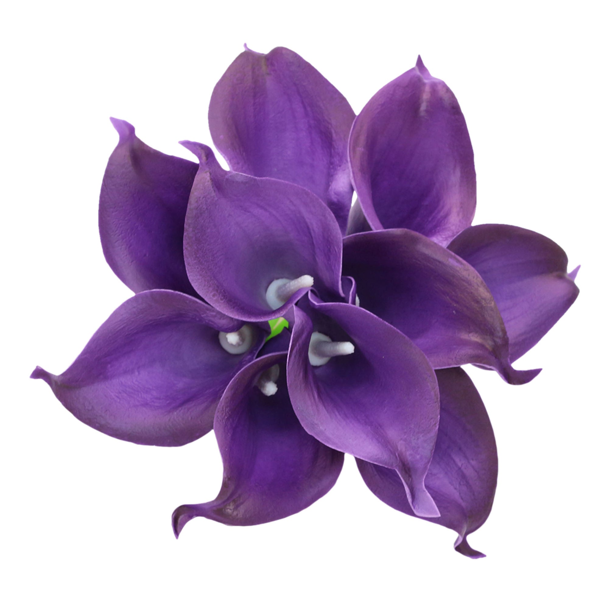 Eggplant Purple Calla Lily Wedding Bouquet