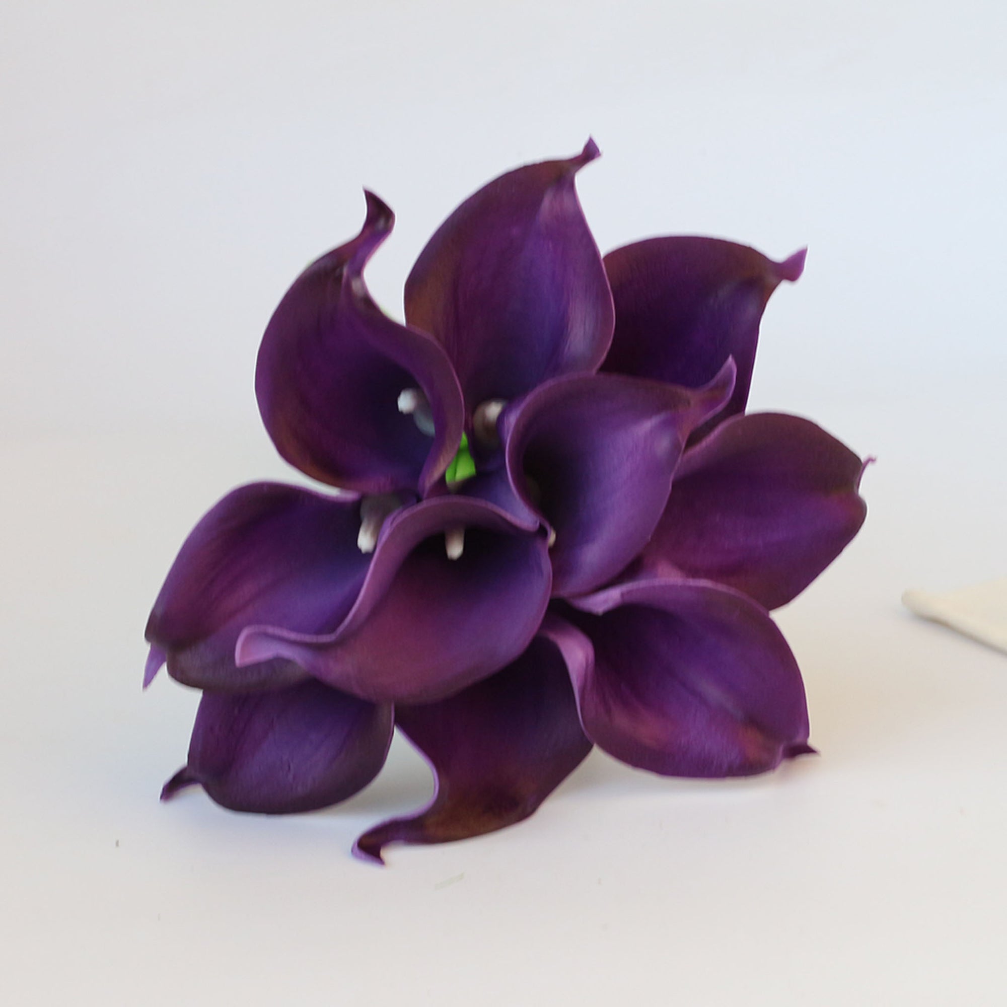 Eggplant Purple Calla Lily Wedding Bouquet