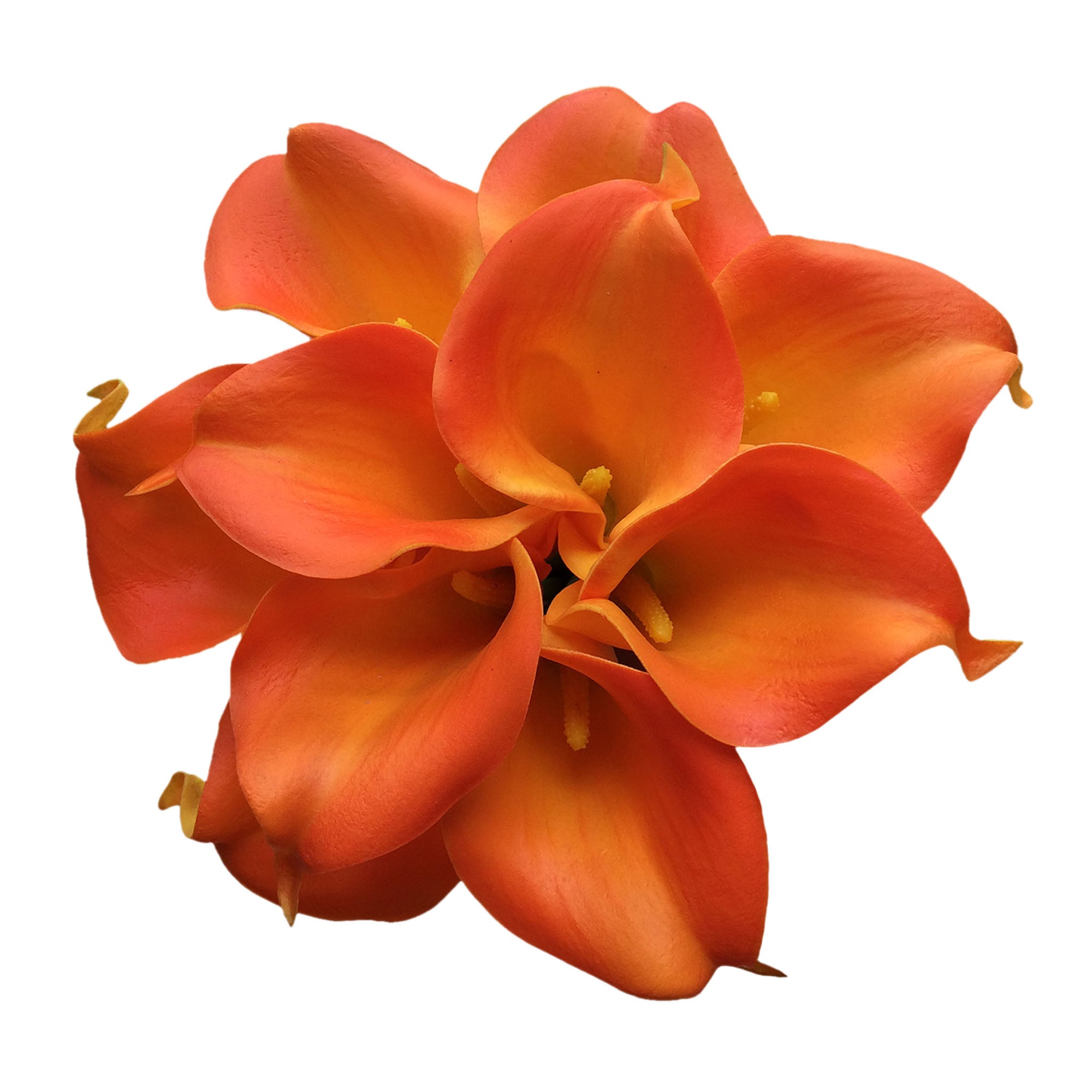 Orange Calla Lily Bulk Flowers Artificial 10 Bouquets