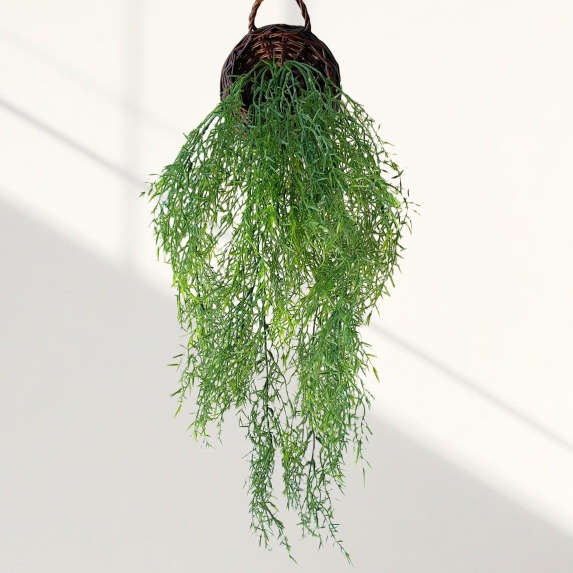 Fake Outdoor Wall Hangings Plants Plastic Sprengeri Grass 2 Bushes
