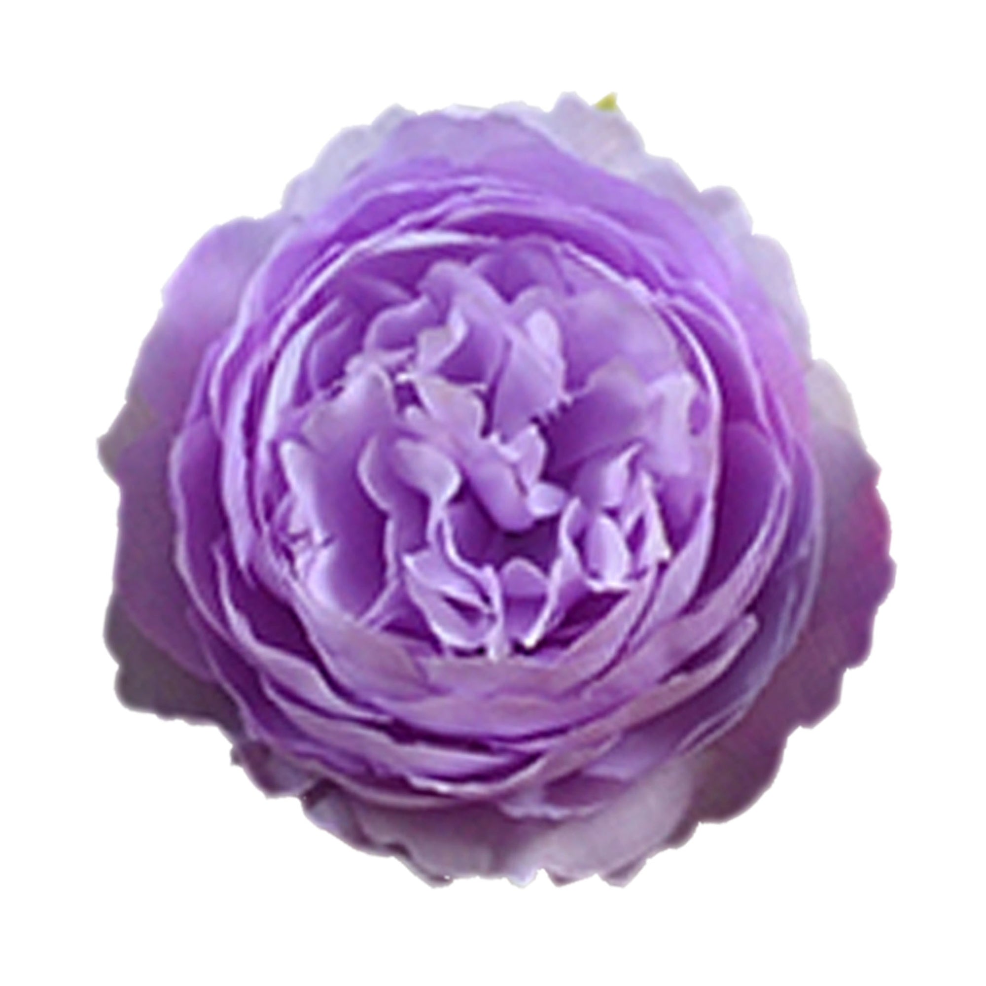 Bulk Fake Peony Flowers Wholesale Silk Peony 50pcs