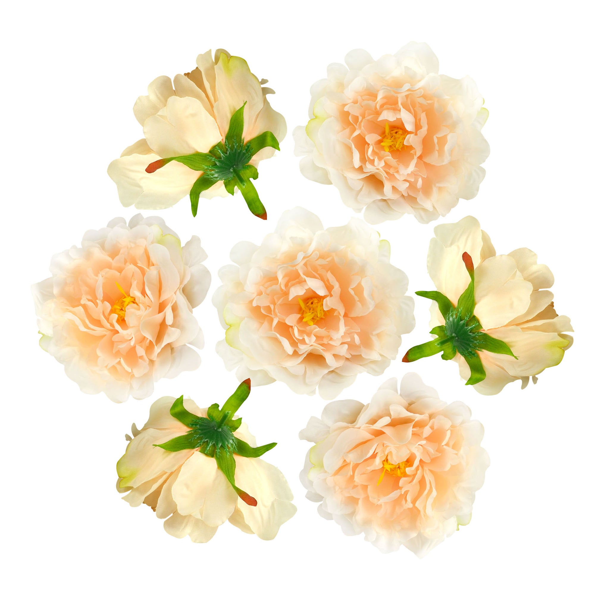 Large Peony Flower Heads 50 Bulk for Flowe Wall Backdrops