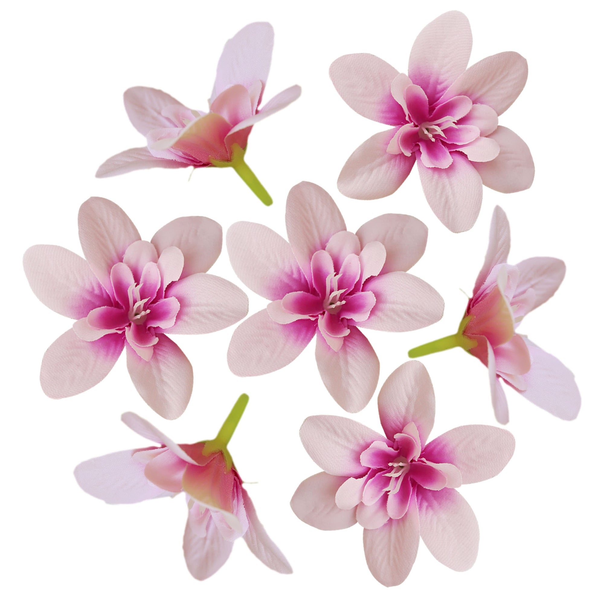 Thailand Silk Orchid Flower Heads 20pcs