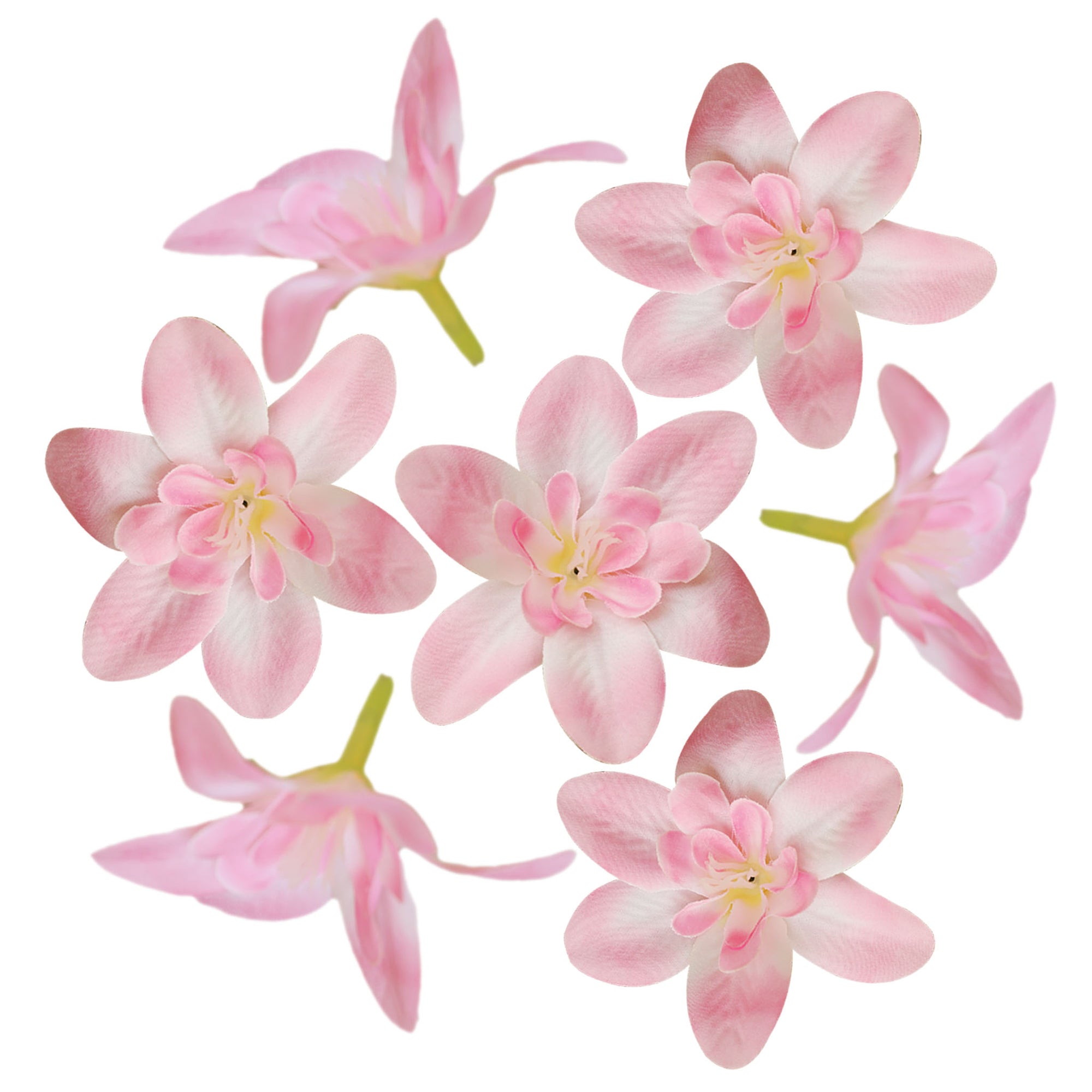 Thailand Silk Orchid Flower Heads 20pcs