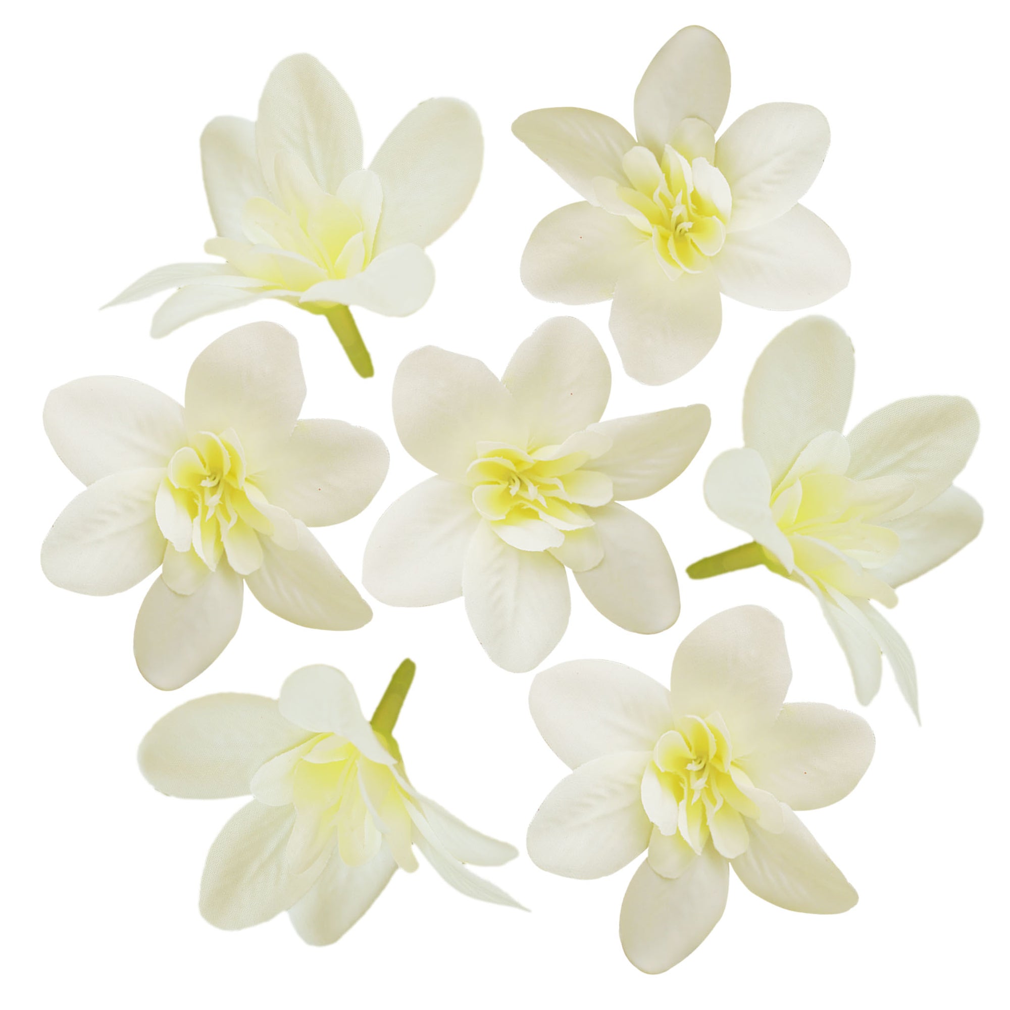 Thailand Silk Orchid Flower Heads 20pcs