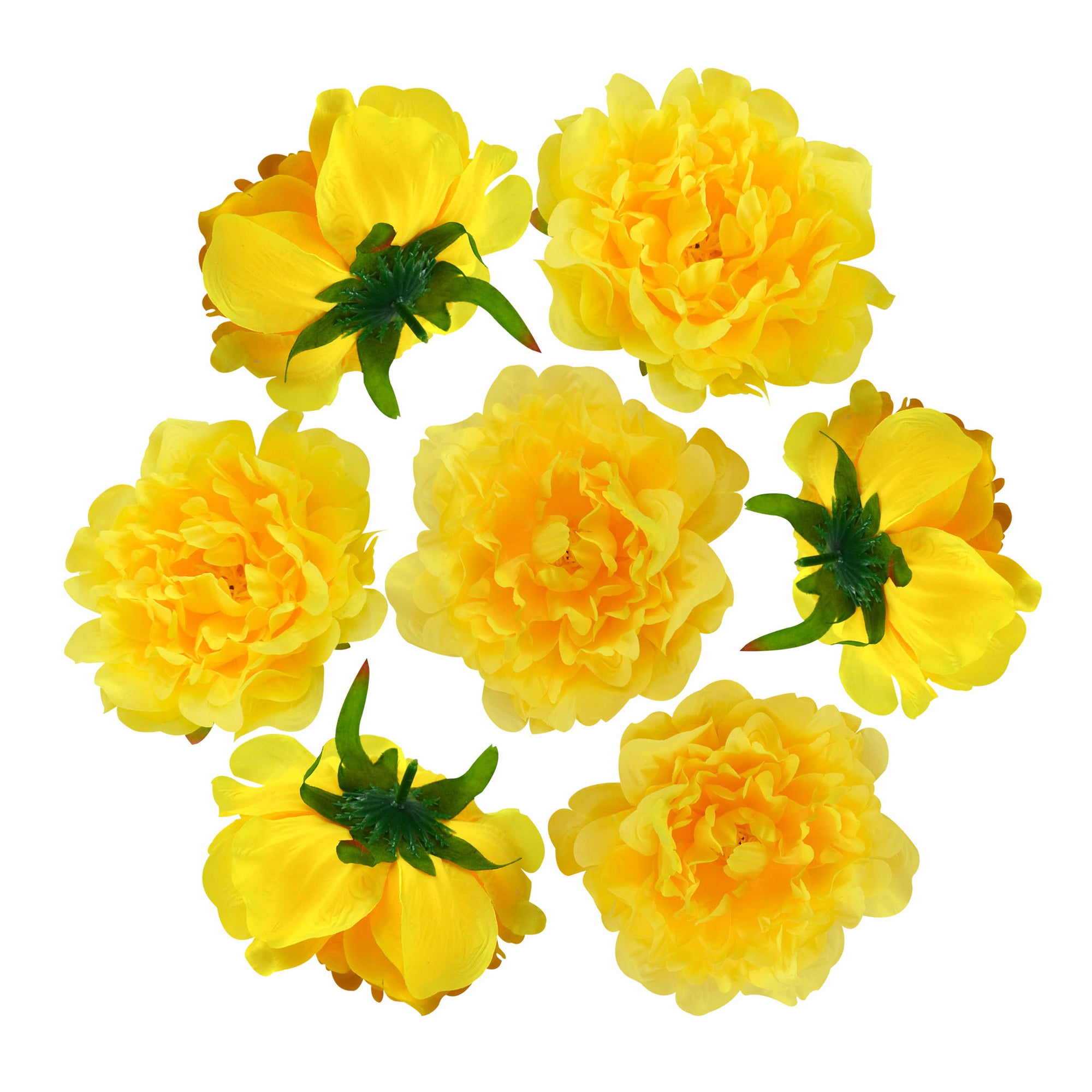 Large Peony Flower Heads 50 Bulk for Flowe Wall Backdrops