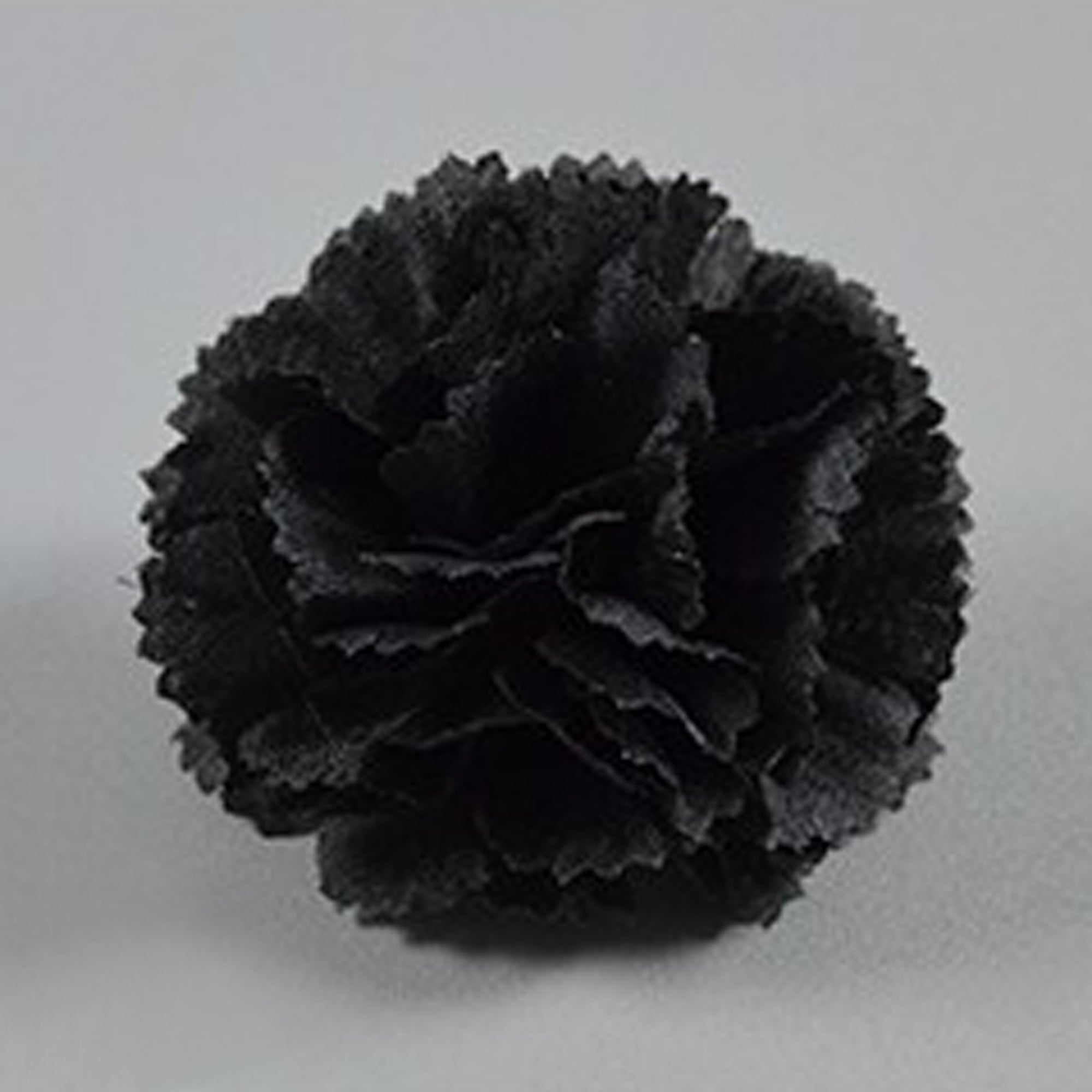 Wholesale Carnation in Bulk Wholesale 100