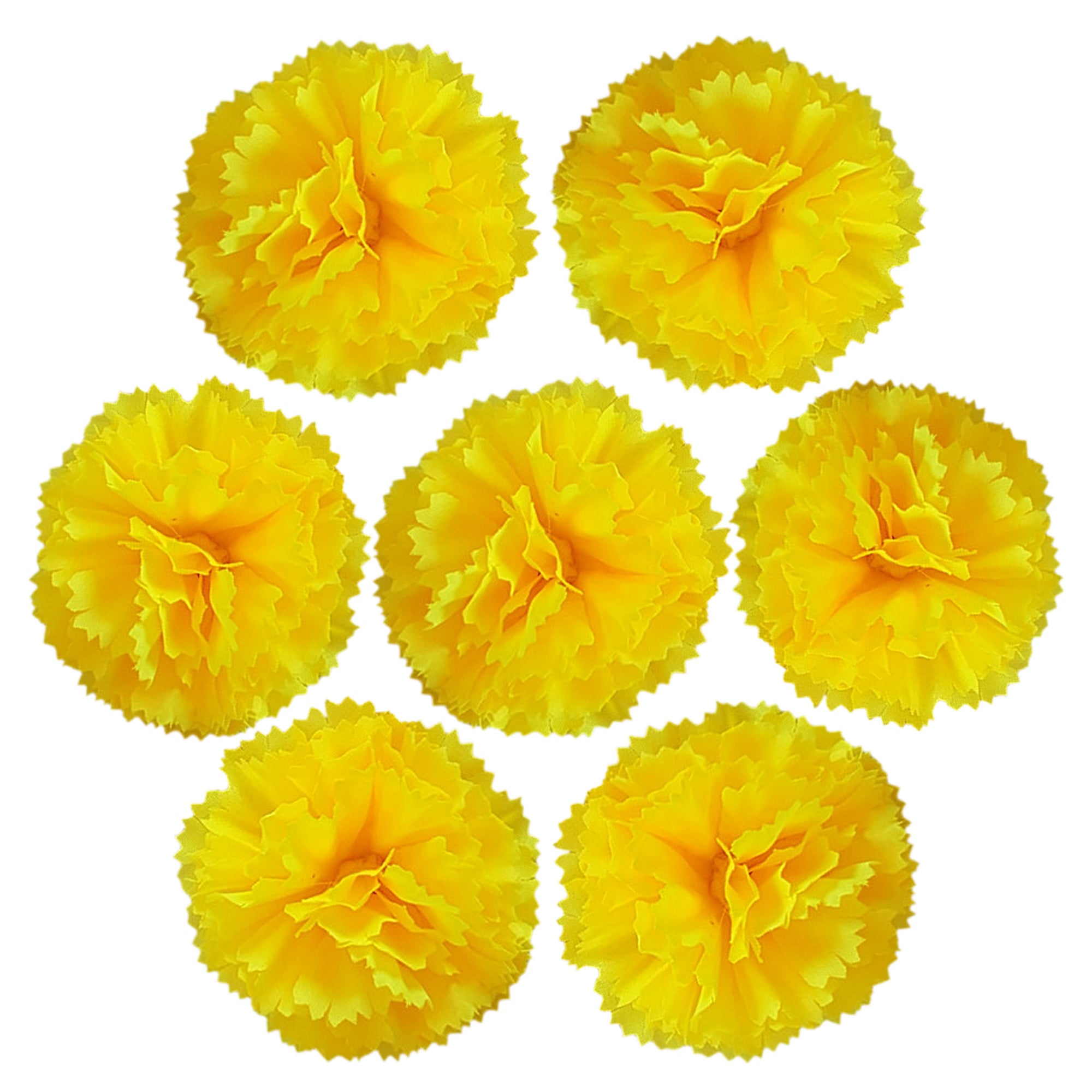 Wholesale Carnation in Bulk Wholesale 100