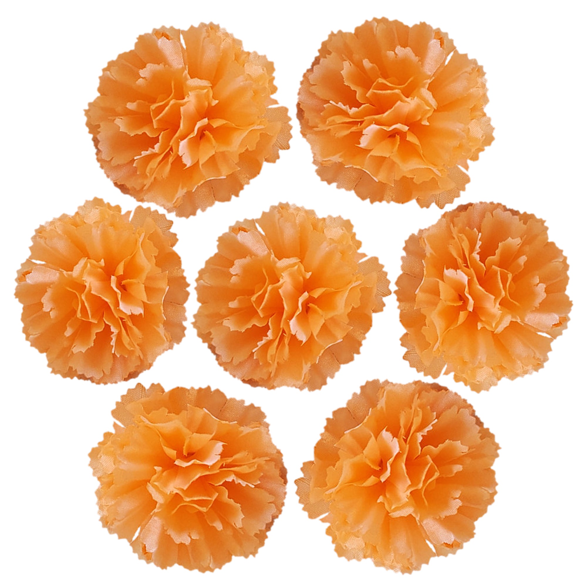 Wholesale Carnation in Bulk Wholesale 100