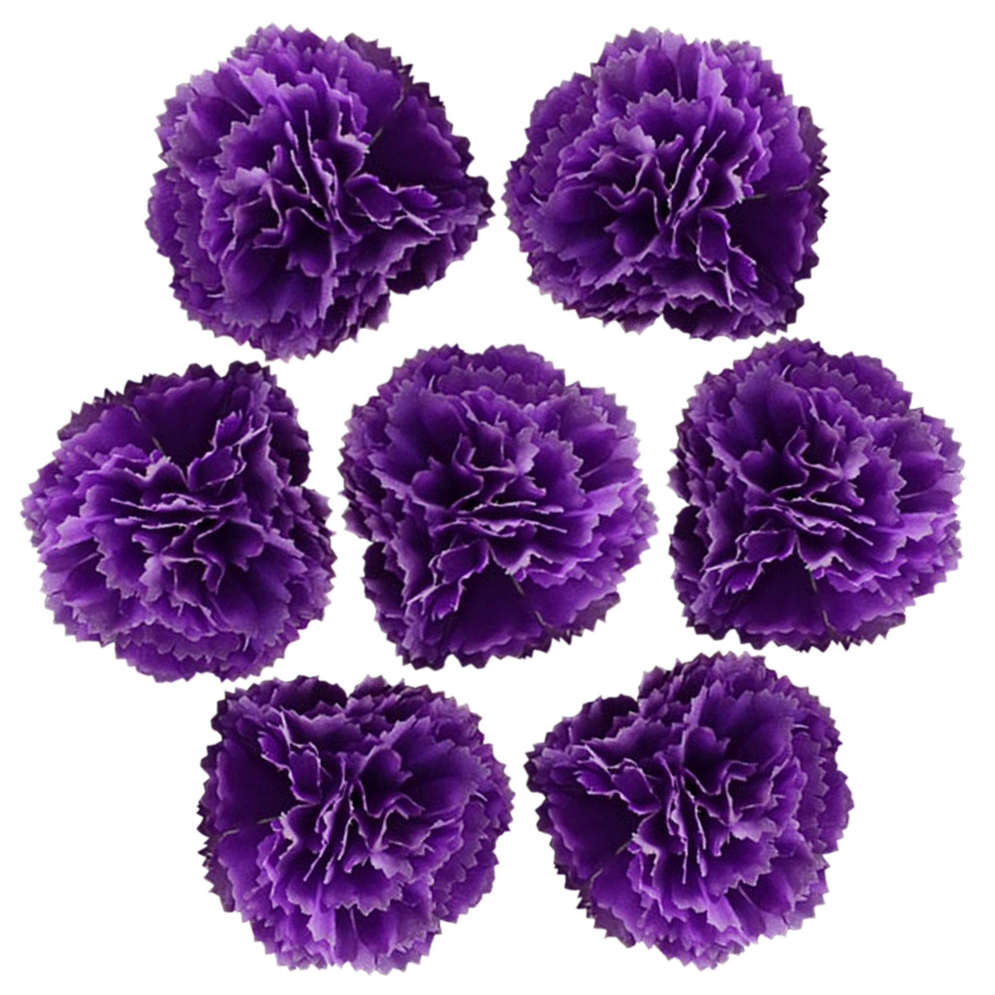 Wholesale Carnation in Bulk Wholesale 100