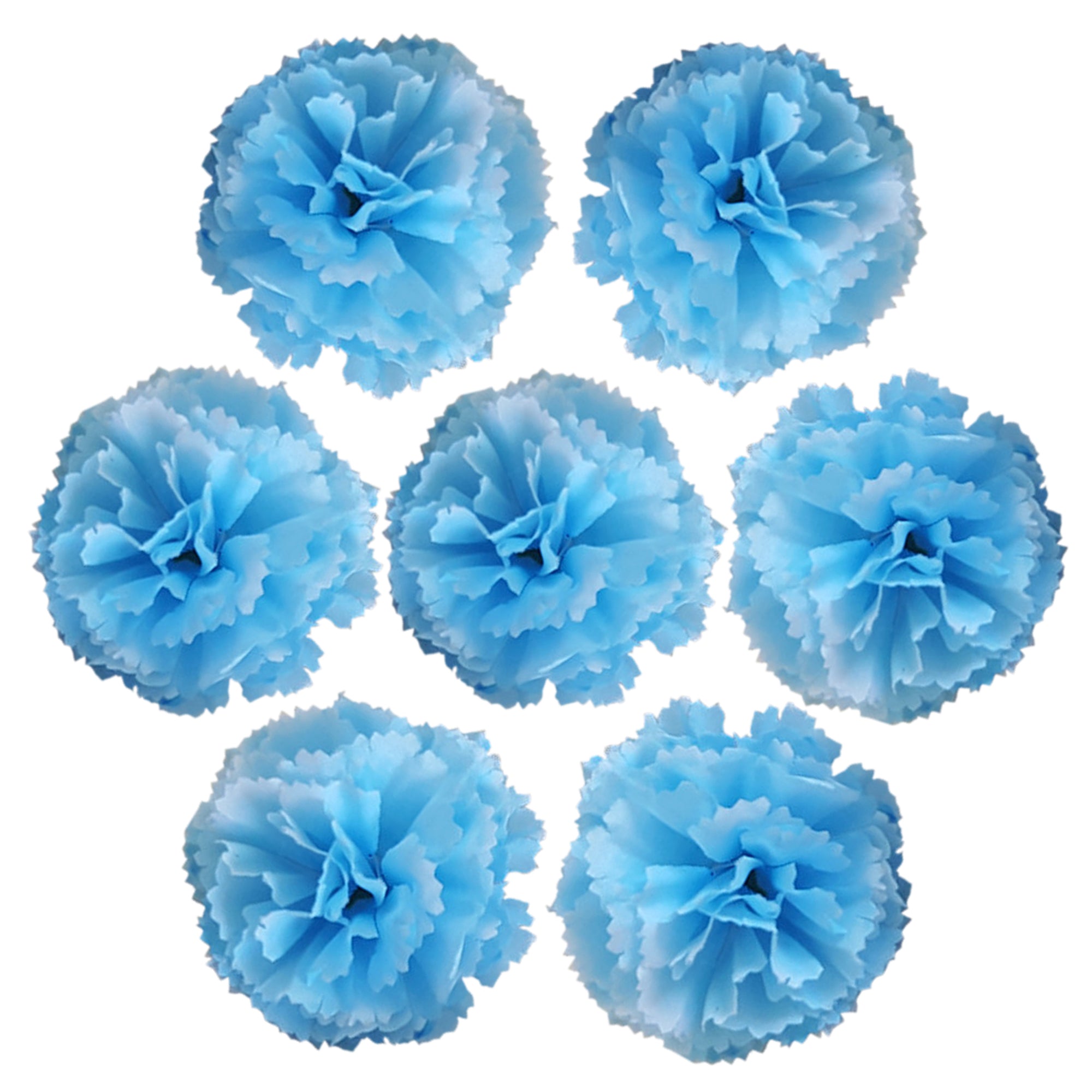 Wholesale Carnation in Bulk Wholesale 100