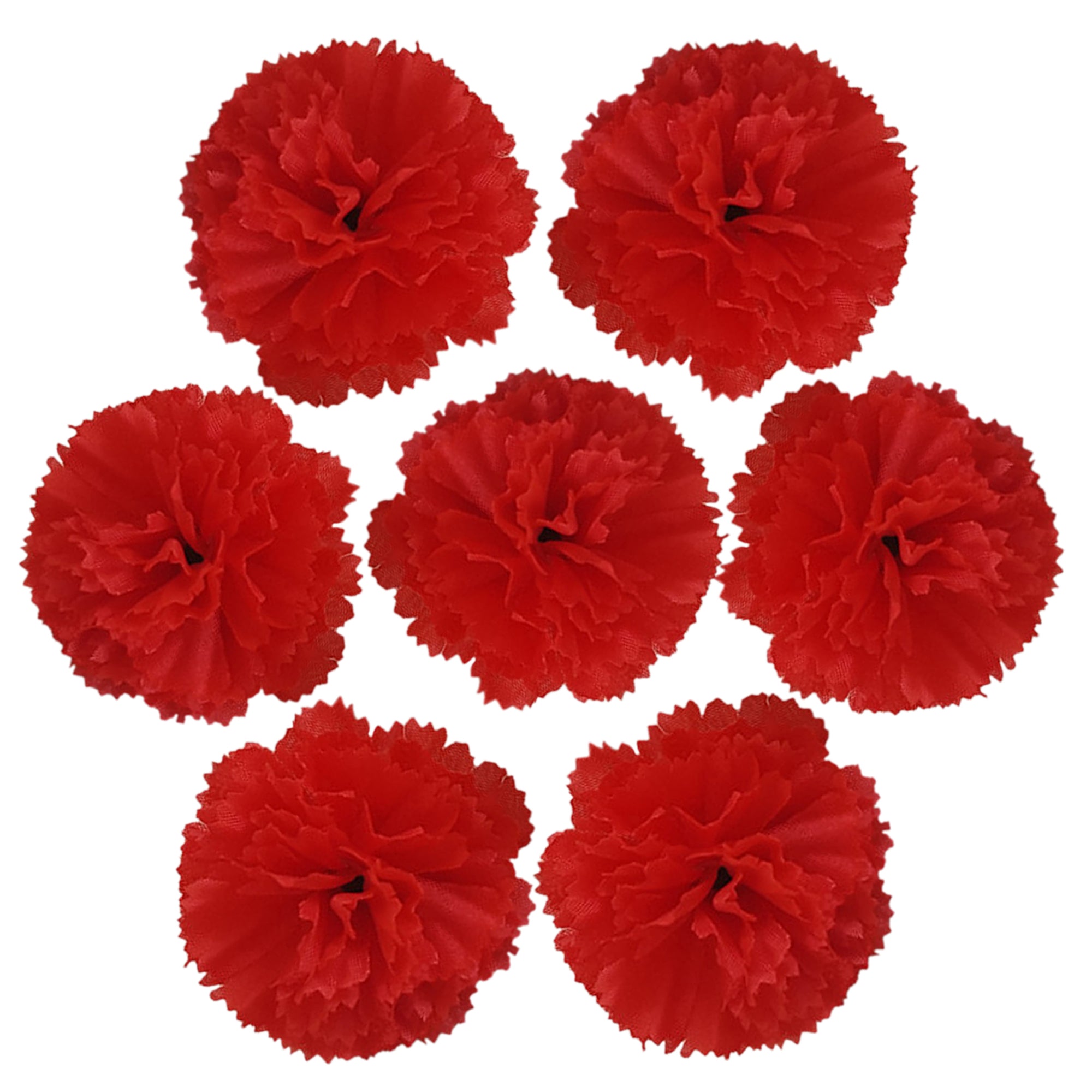Wholesale Carnation in Bulk Wholesale 100