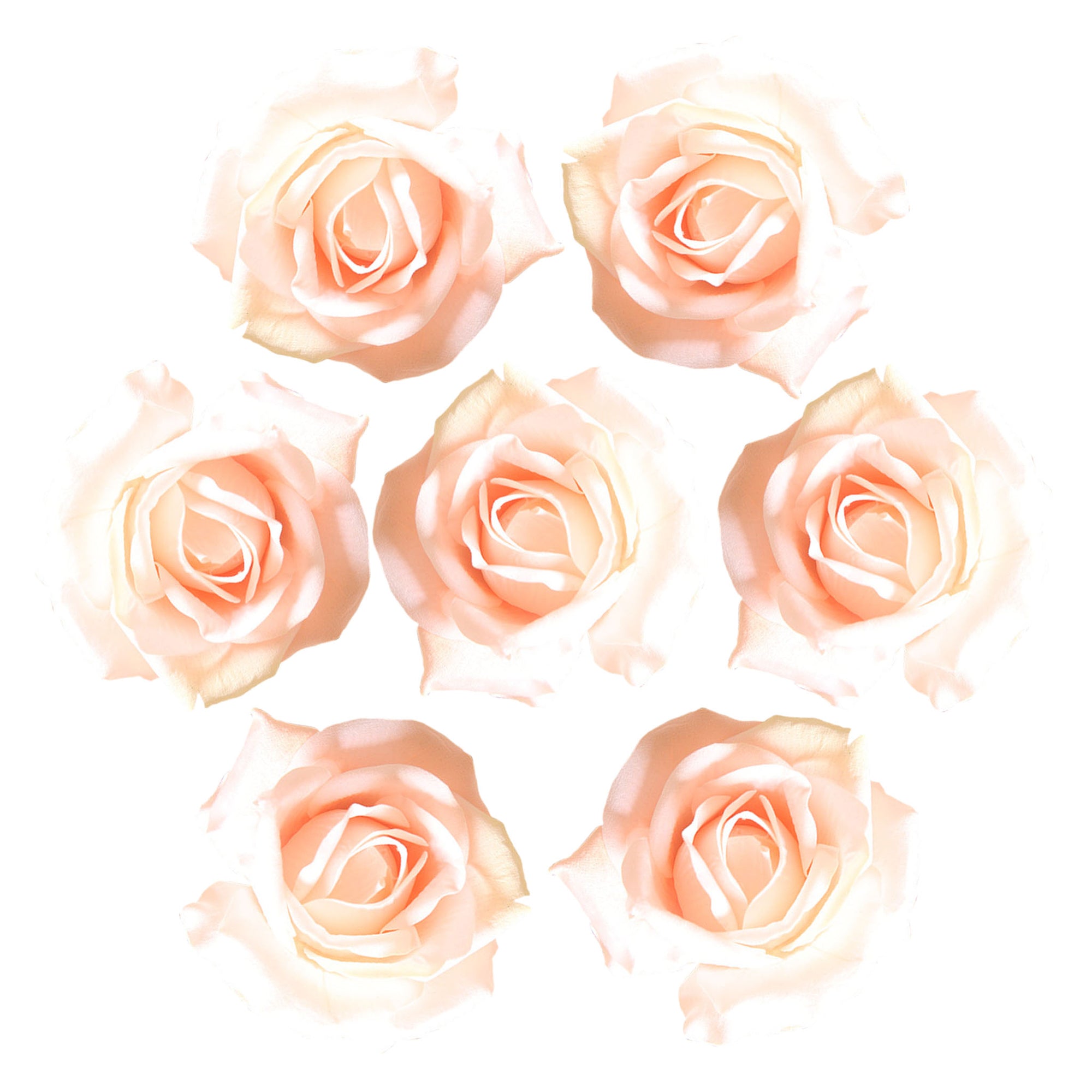 Wholesale Artificial Flowers Silk Rose Heads