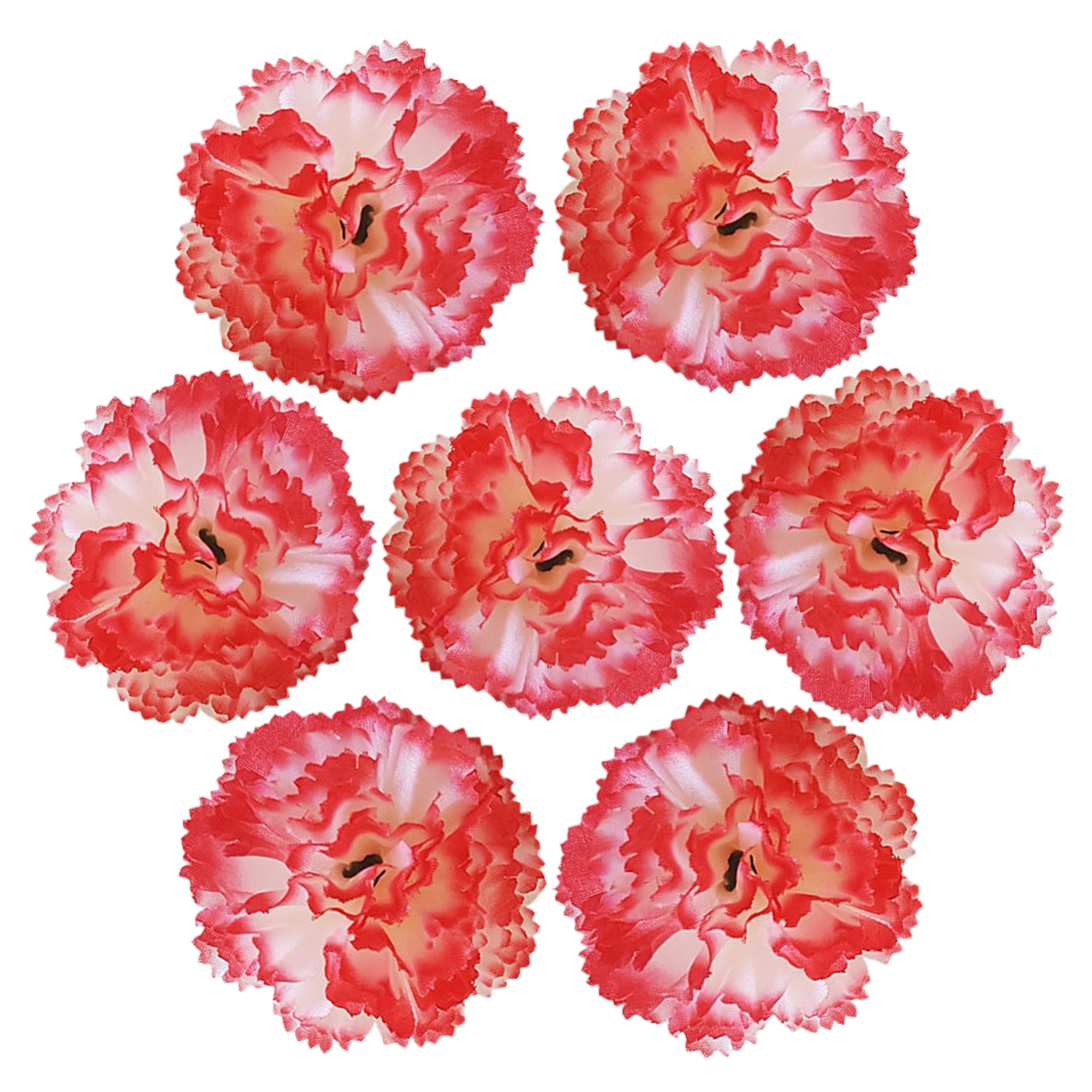 Wholesale Carnation in Bulk Wholesale 100