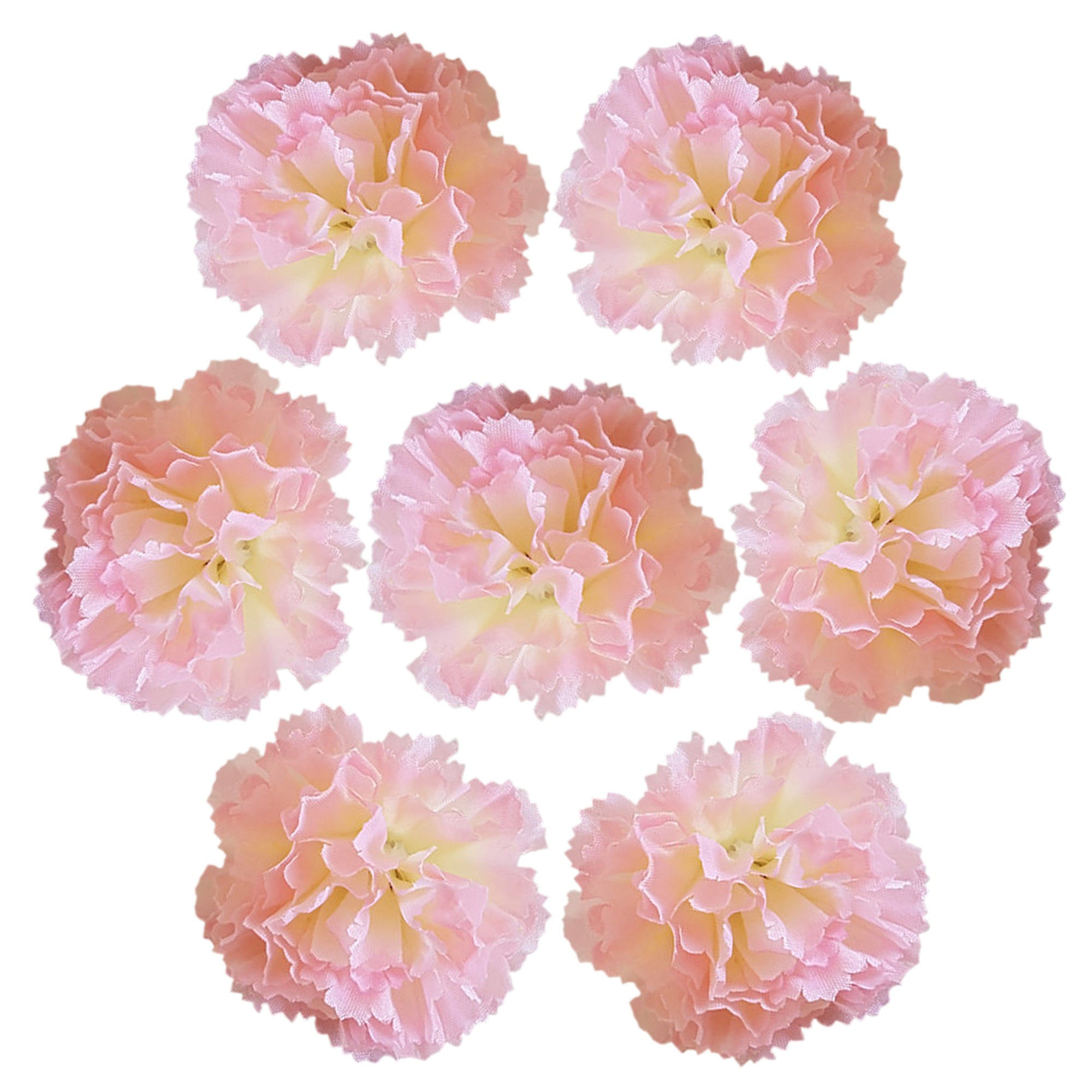 Wholesale Carnation in Bulk Wholesale 100