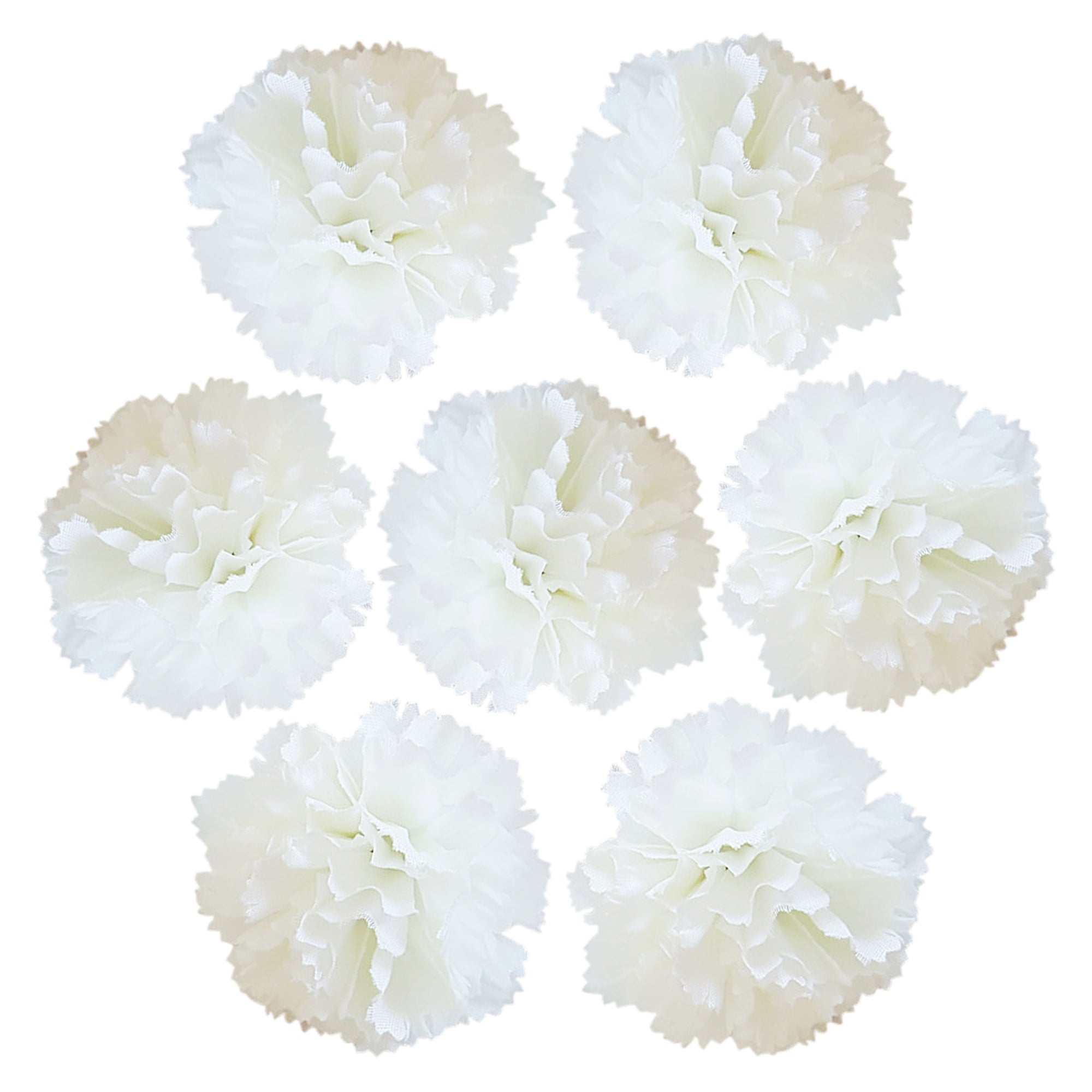 Wholesale Carnation in Bulk Wholesale 100