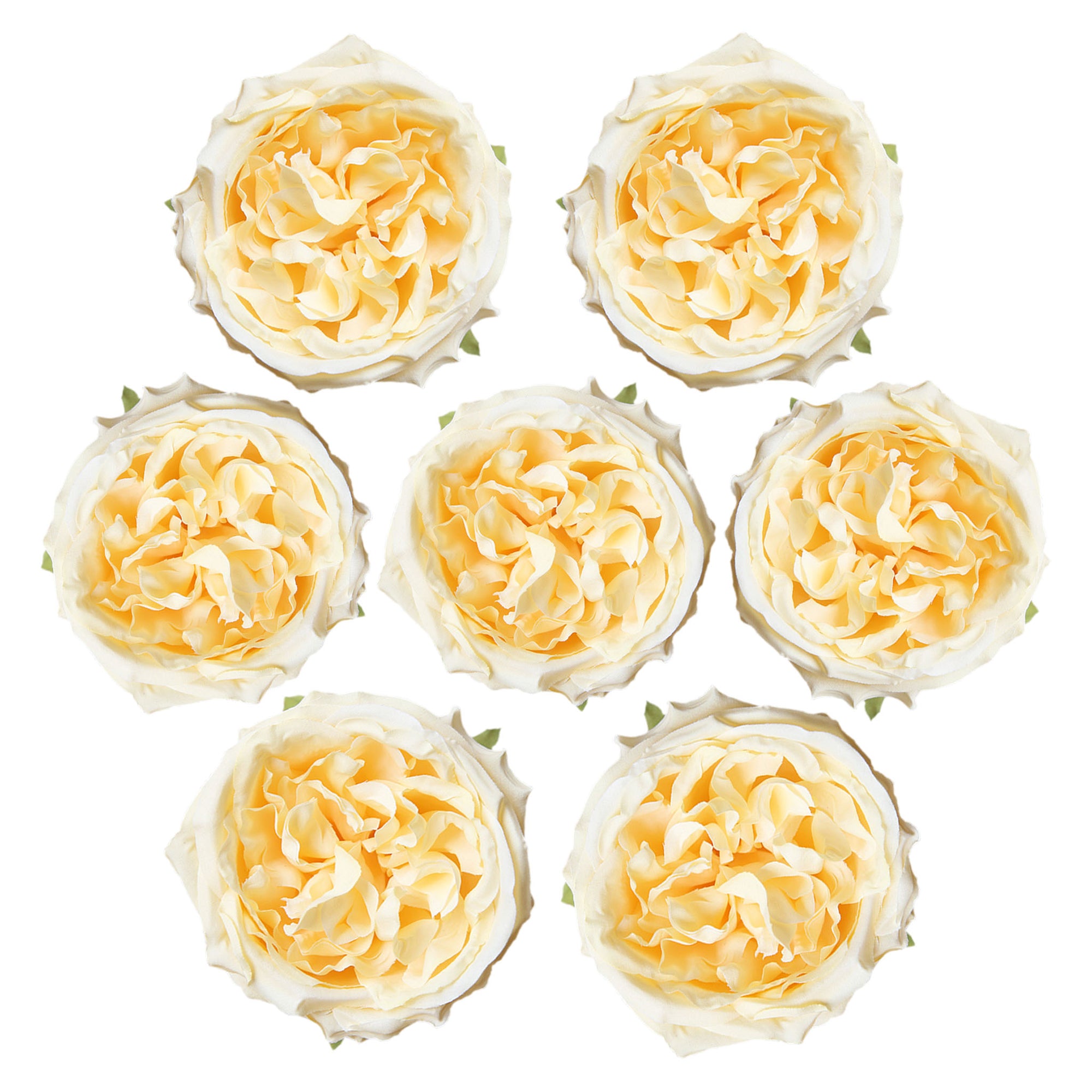 Cabbage Roses Silk Flower Heads 3.9 inch