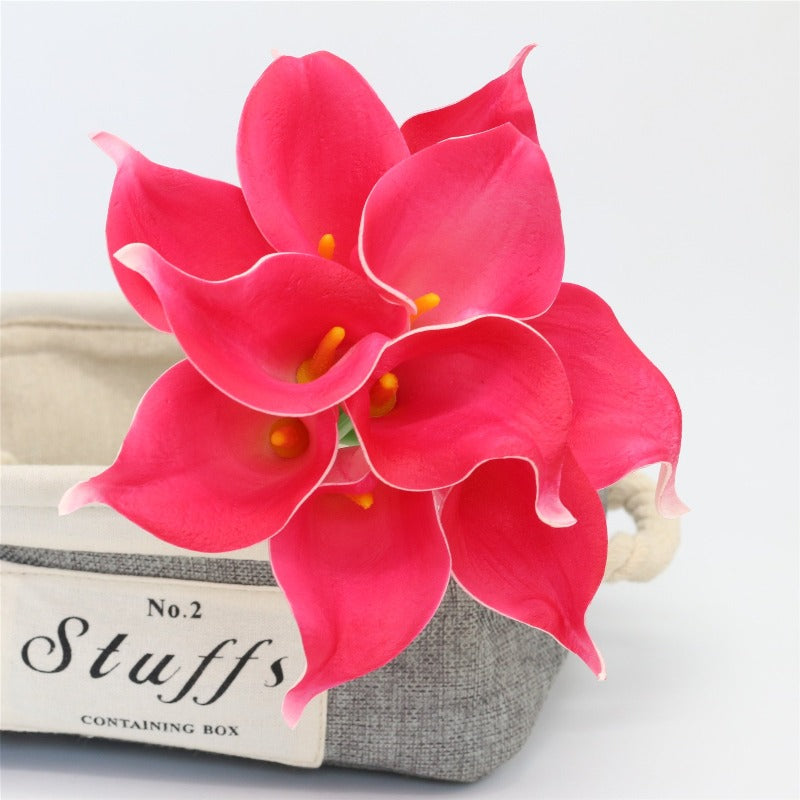 calla lily fuchsia