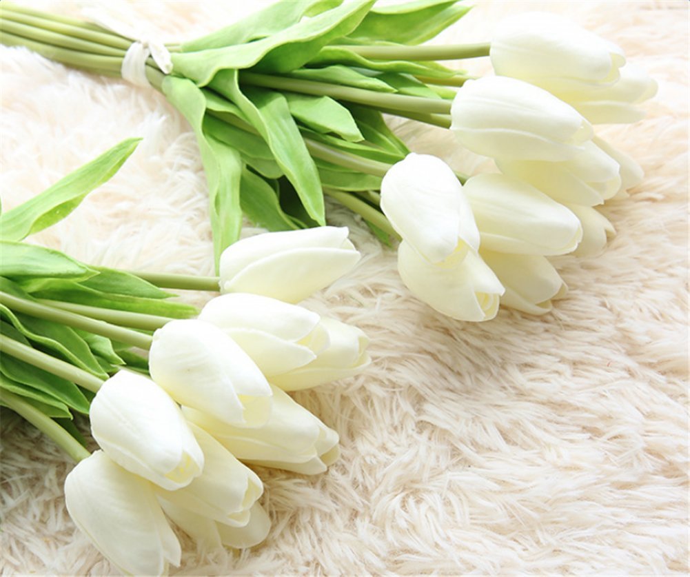 white tulip flowers
