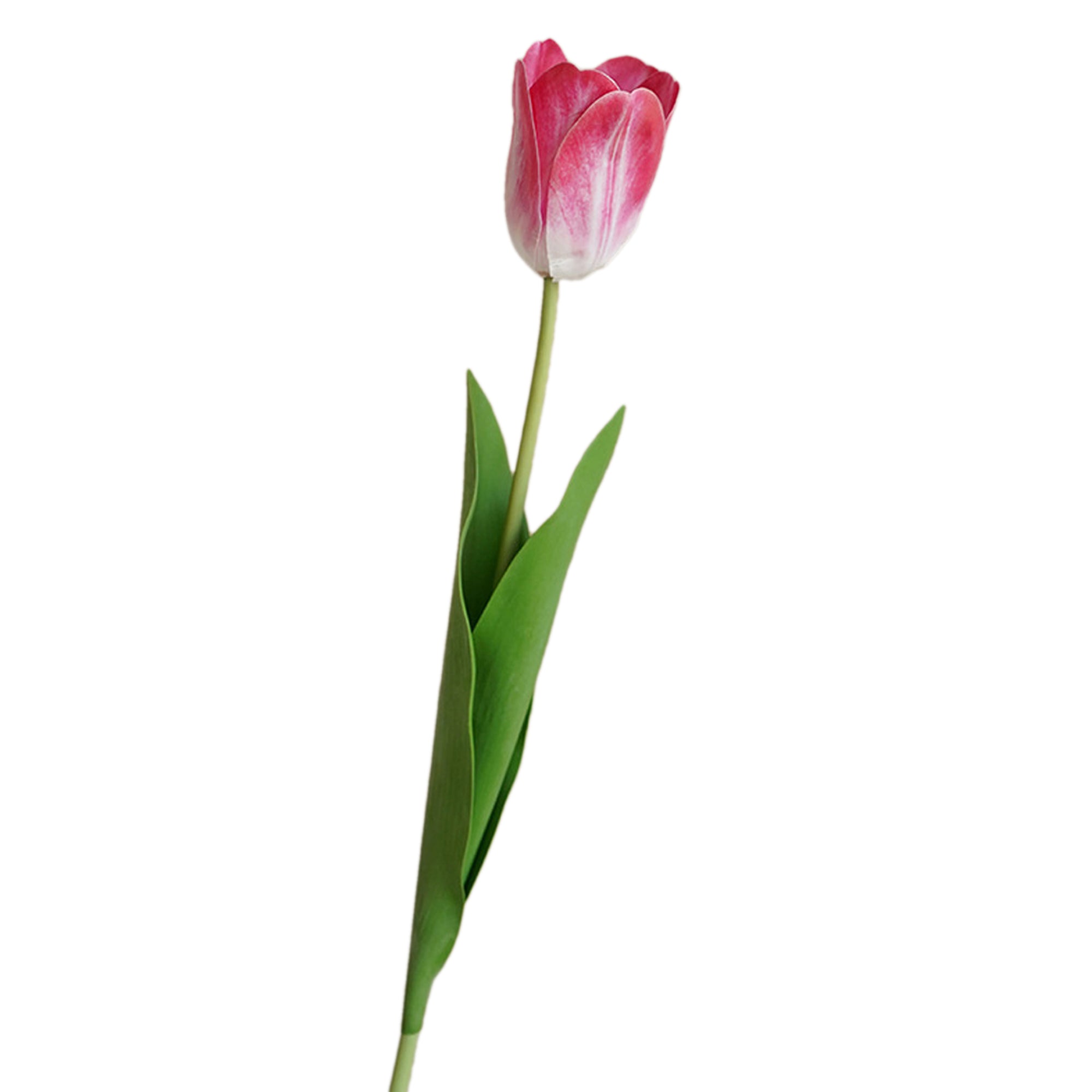 Real Touch lifelike Blooming Tulips 26"