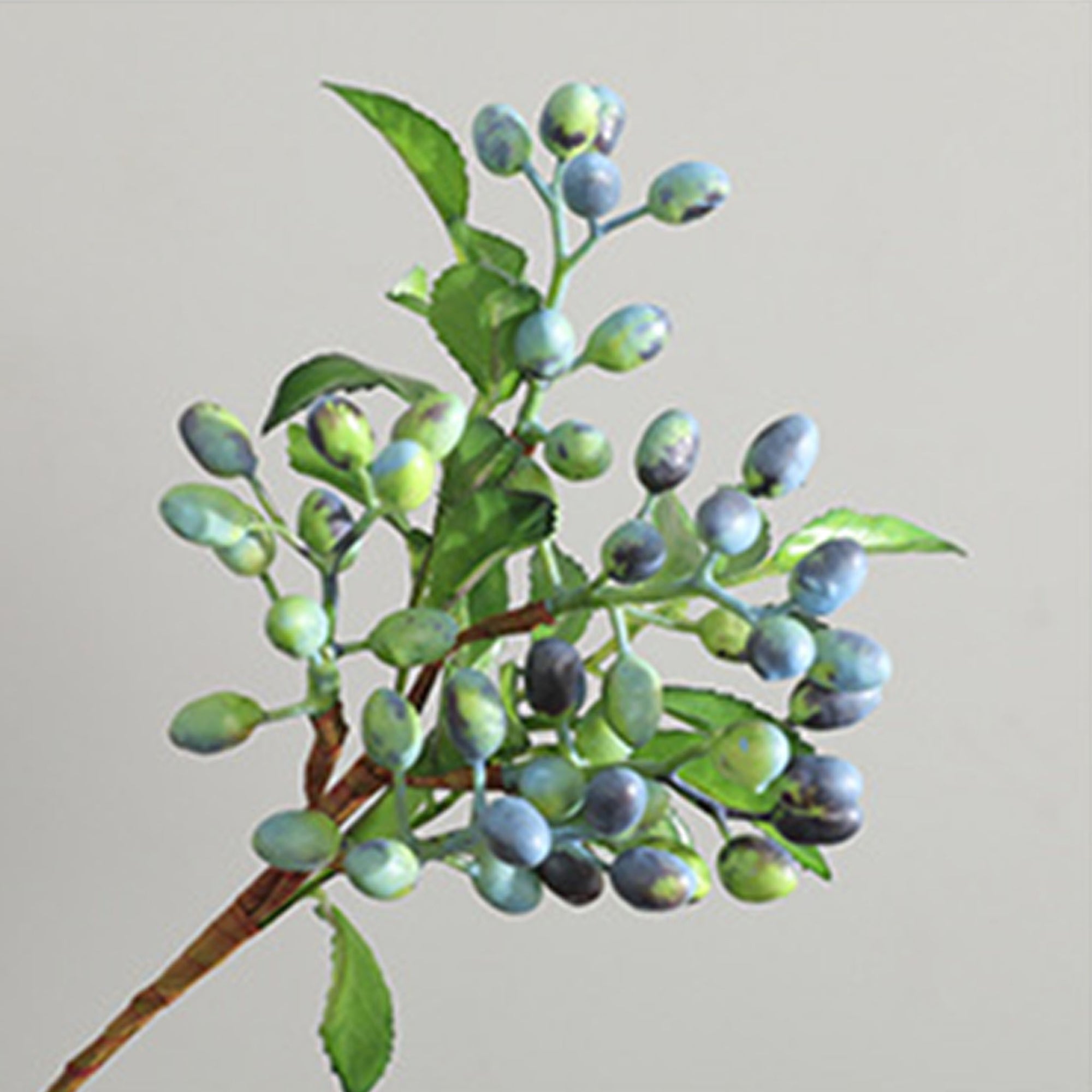 Faux Olive Berry Branch Blueberries with Leaves