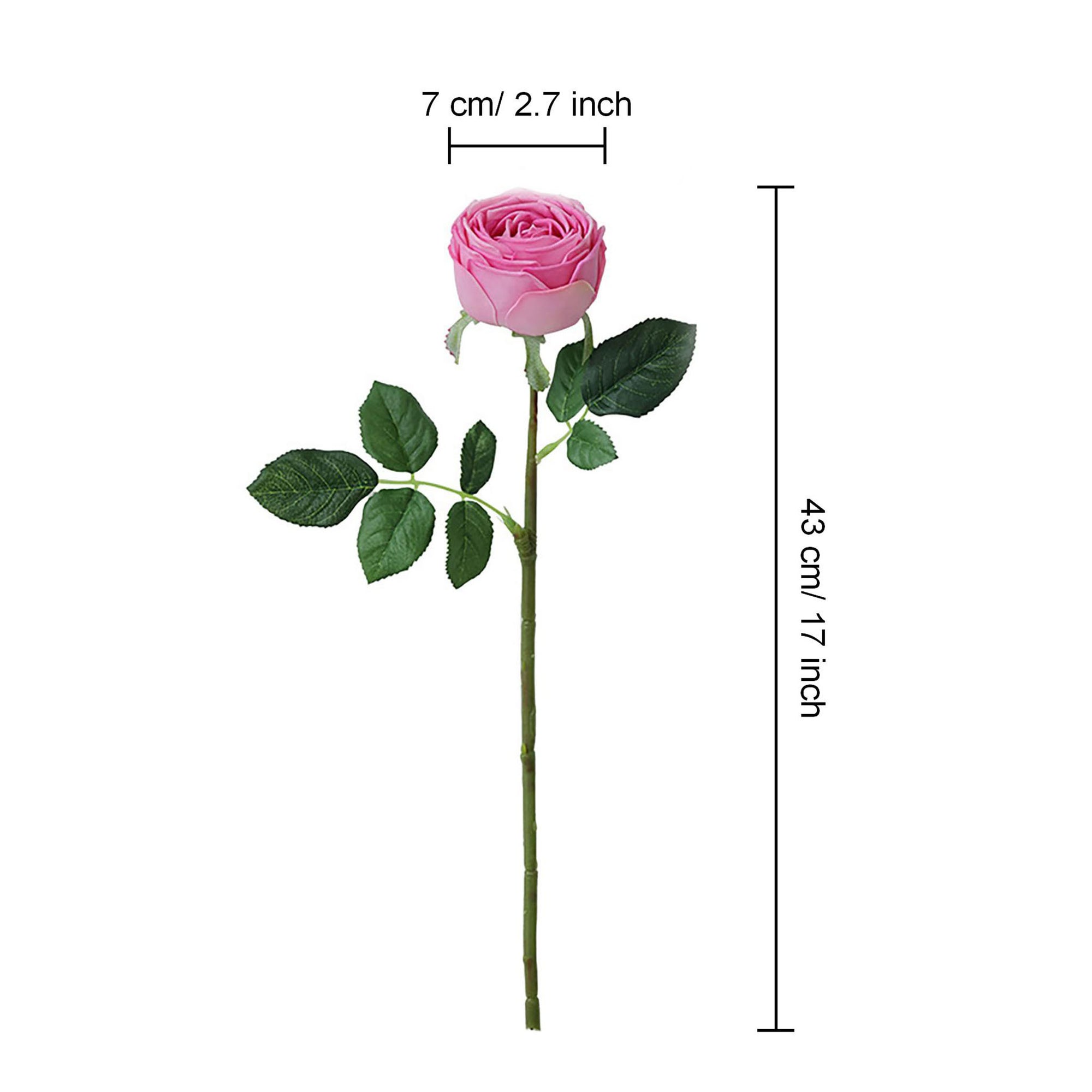 Realistic Artificial English Cabbage Rose 17 inch Tall