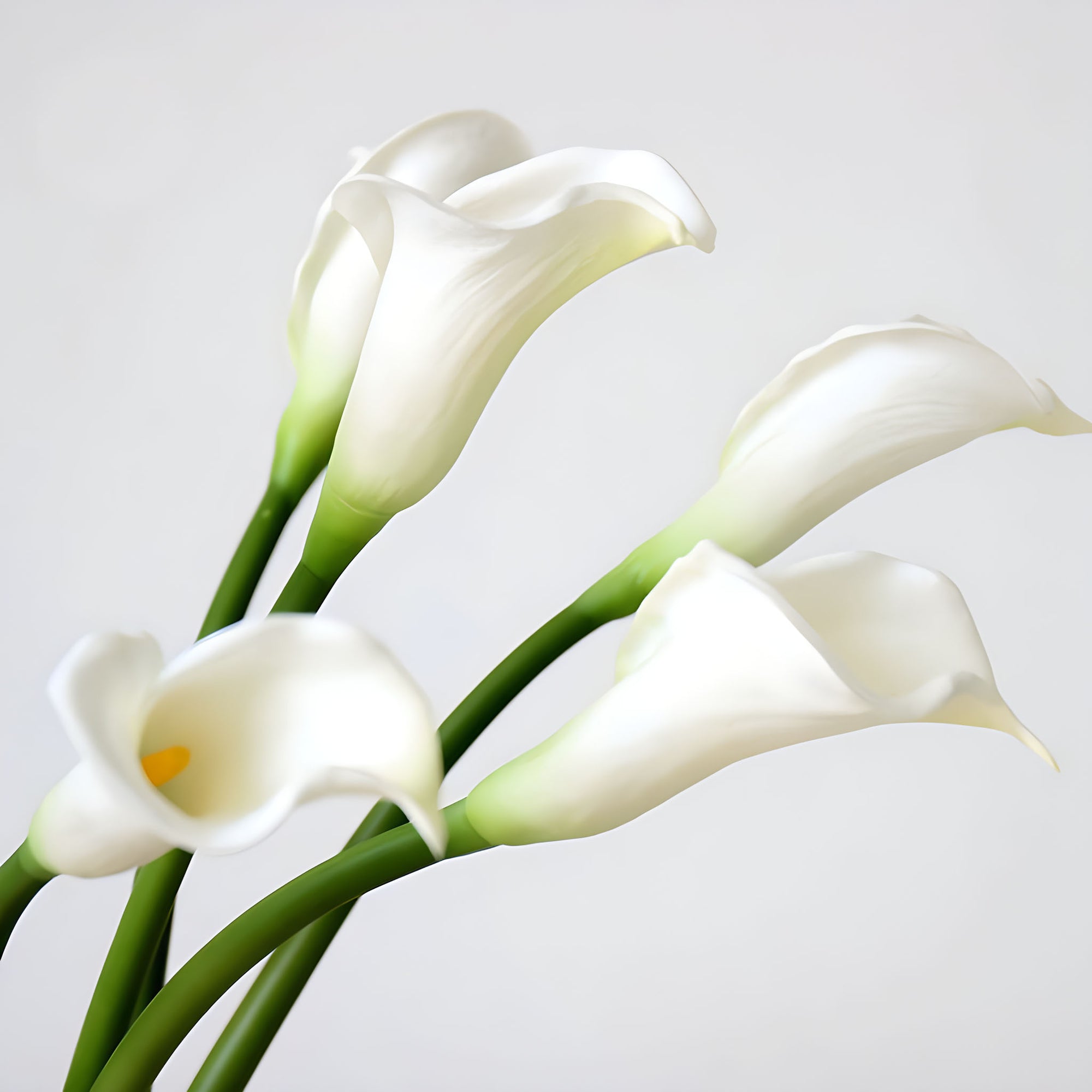 artificial white calla lily Large Calla Lily Artificial Flowers Tall Calla Lilies White