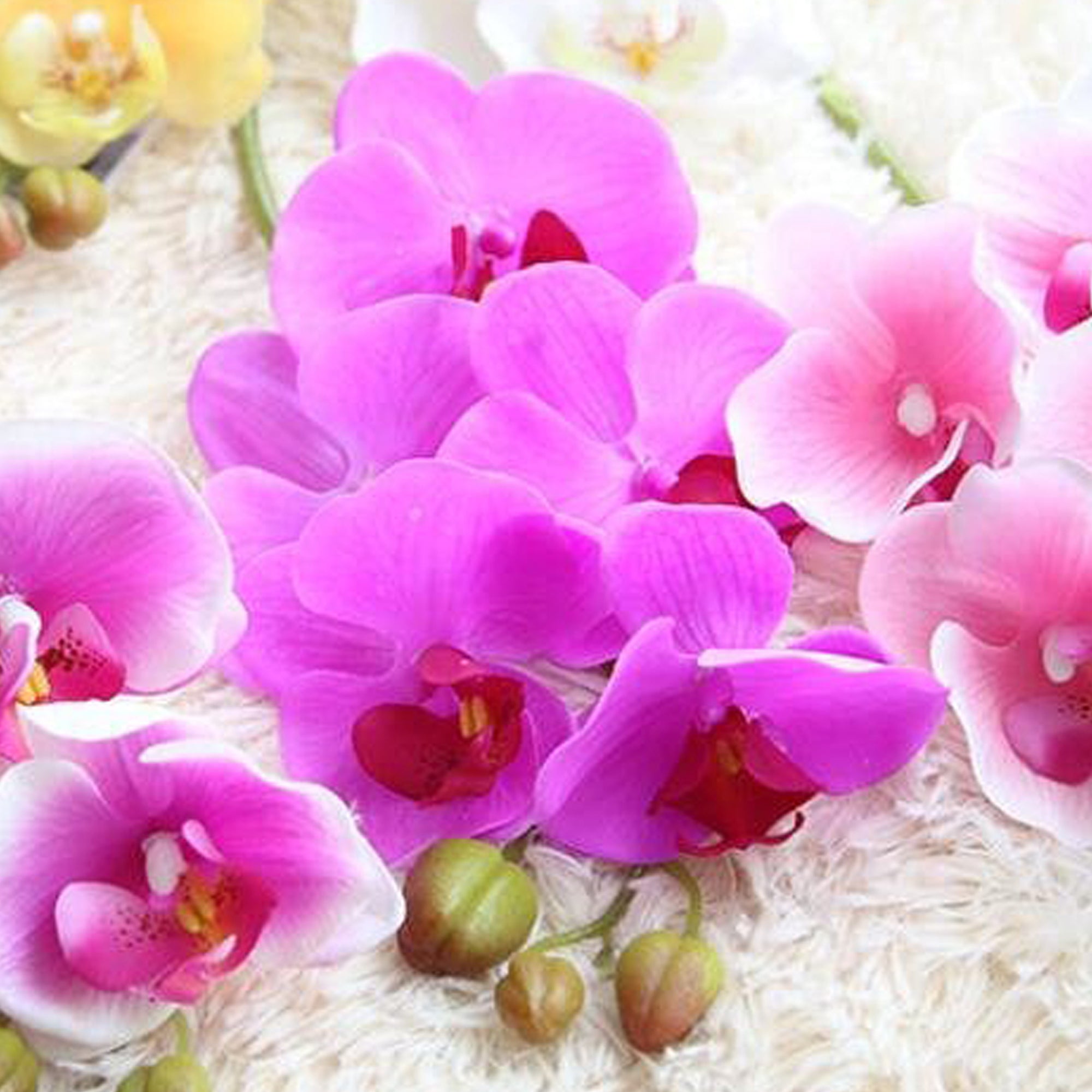Fake Orchids Flowers White Purple Yellow Fuchsia