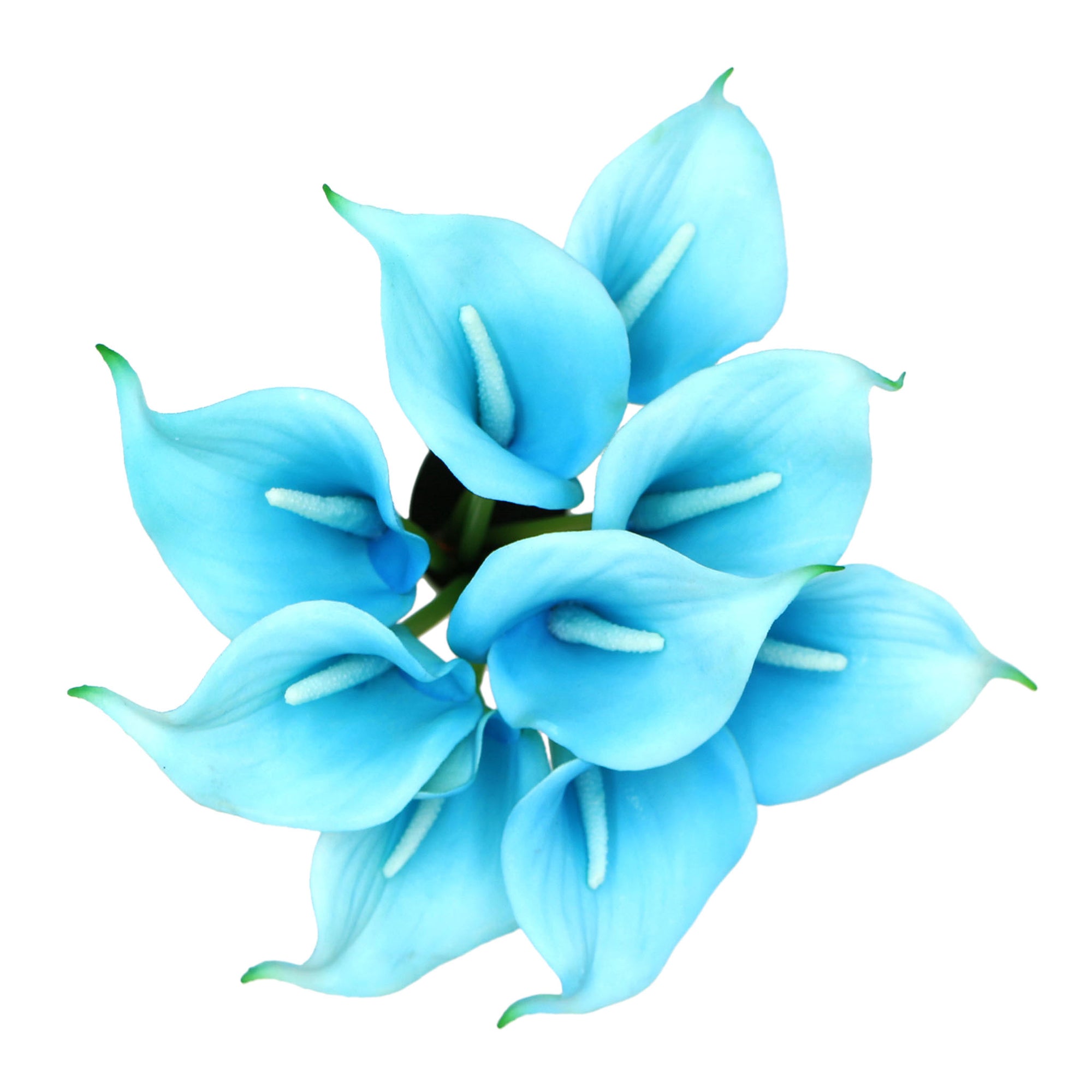 Turquoise Blue Calla Lily Bouquet Malibu Wedding Floral Decor