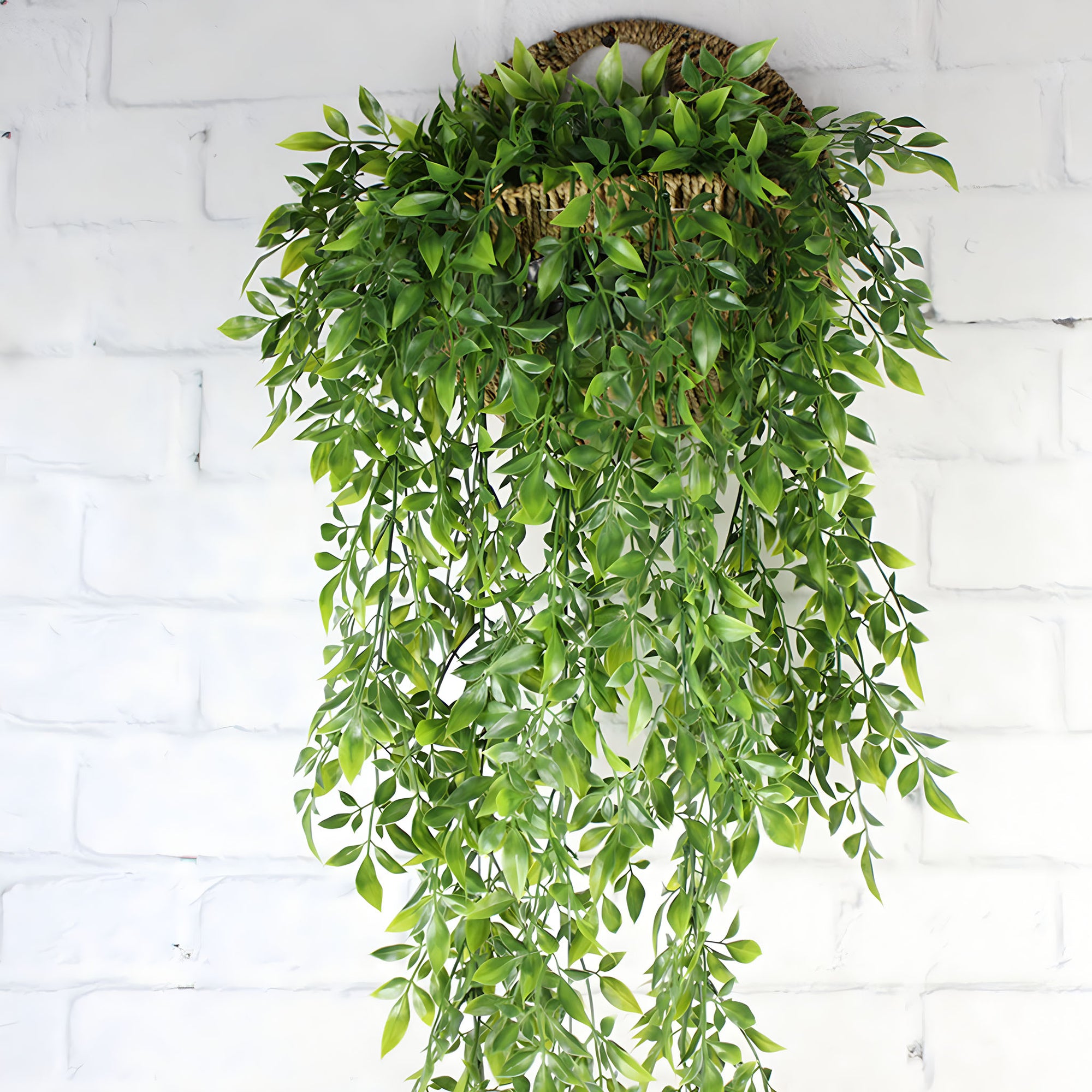 Plastic Fake Hanging Plants for Indoor Wall Decor