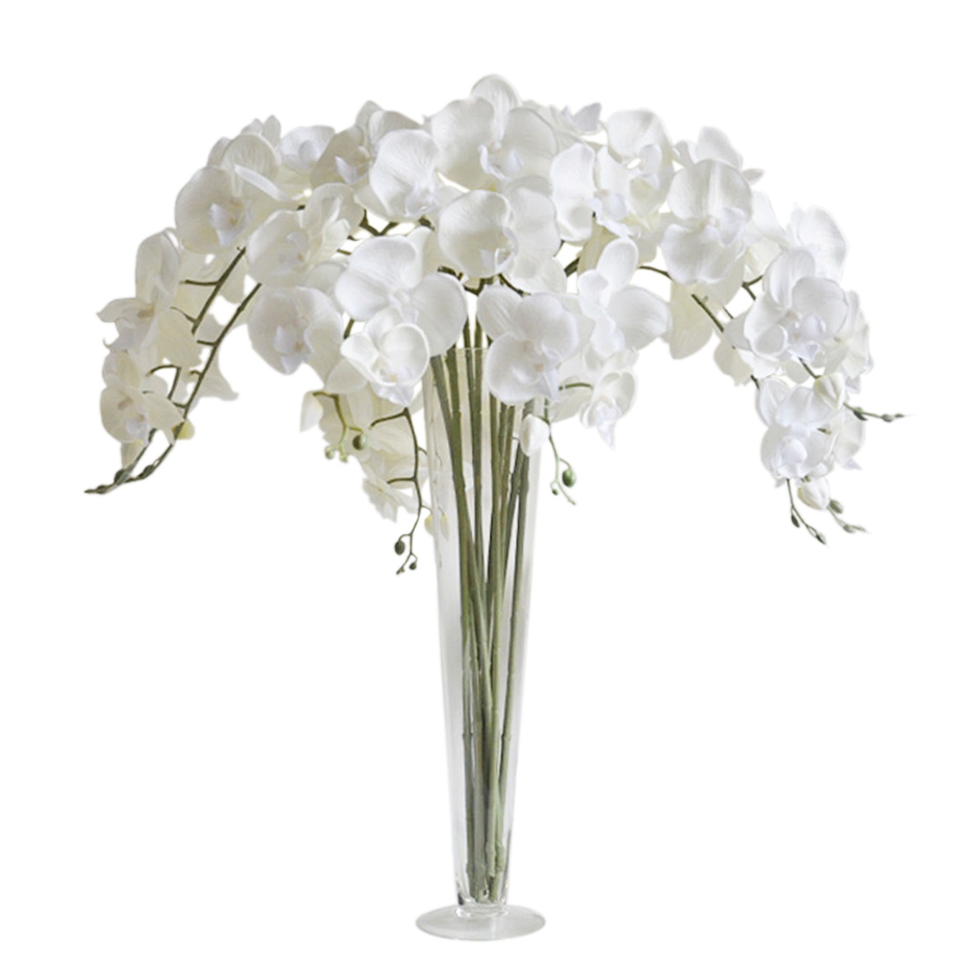 Artificial Butterfly Cream White Orchids Silk Phalaenopsis for Wedding Centerpieces