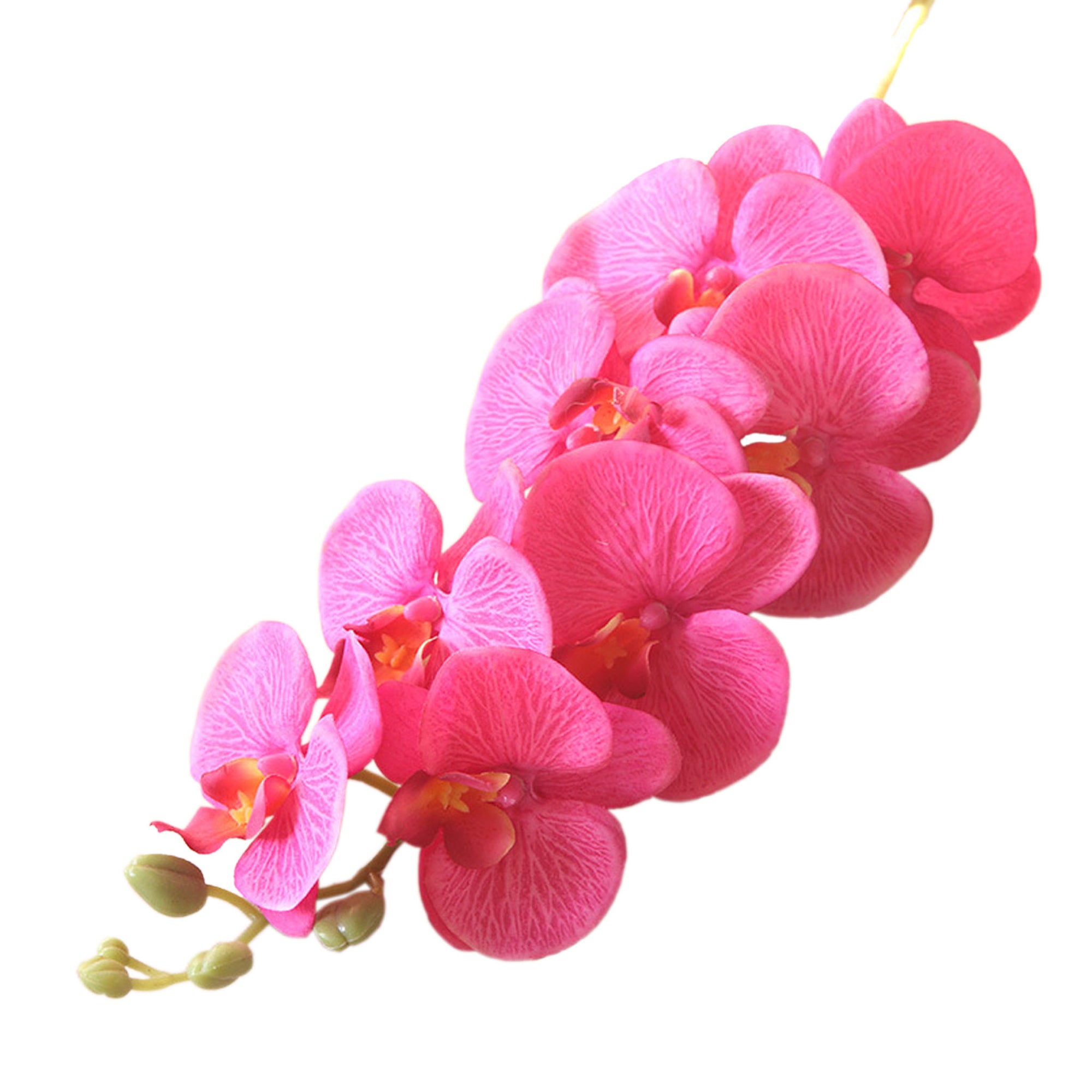 Artificial Orchid Flowers Realistic Phalaenopsis