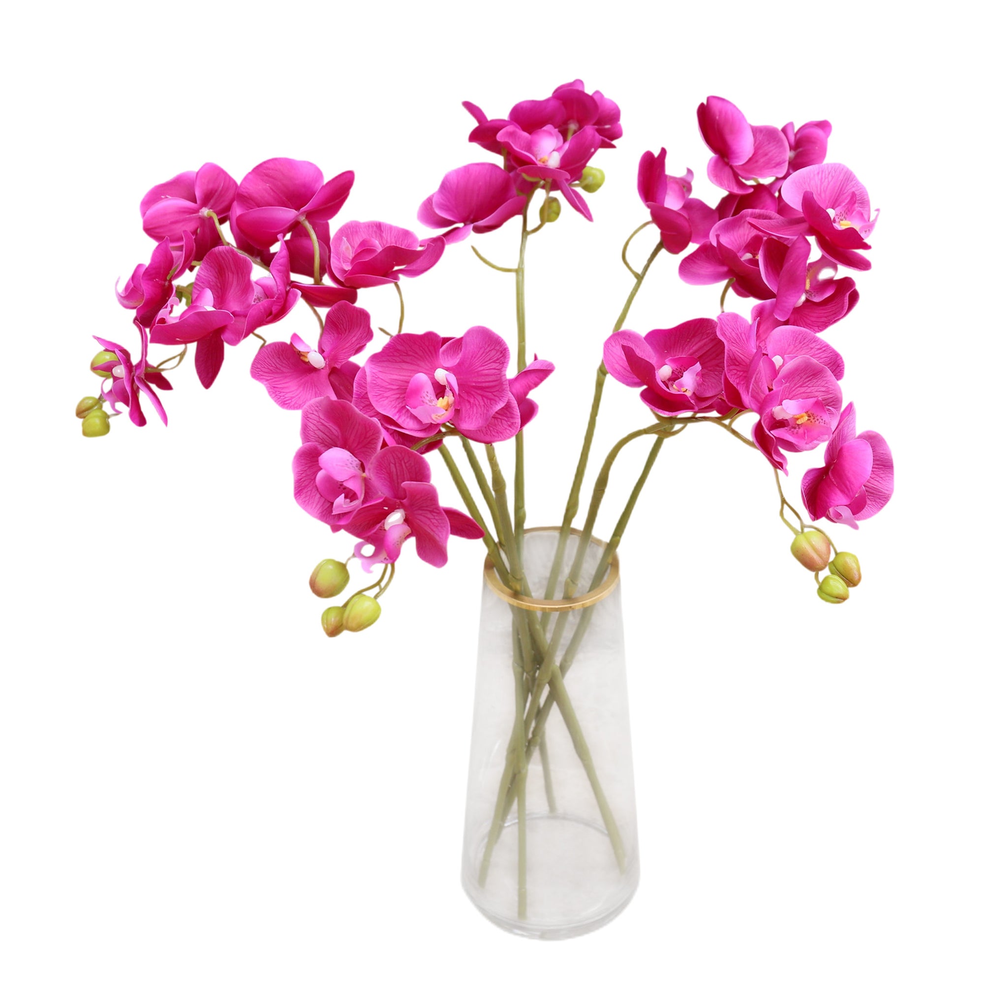 Real Touch Orchids Fake Phalaenopsis Flowers