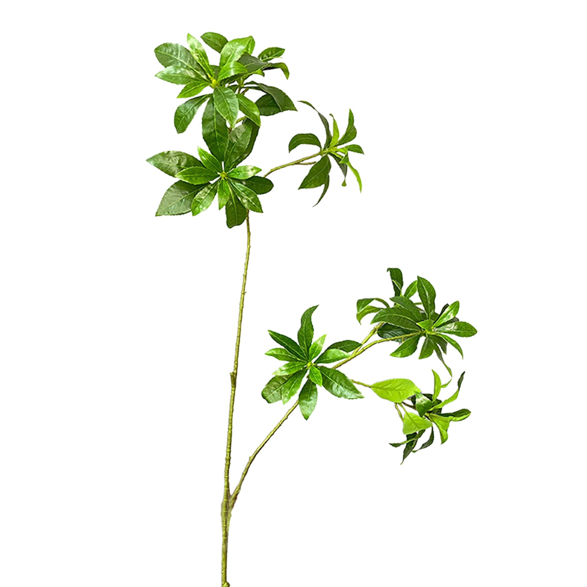 Artificial Tall Plants Pieris Japonica Leaf Branches