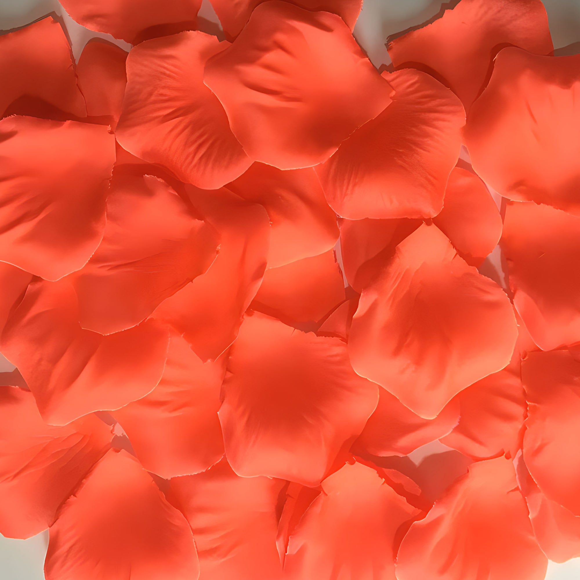 Coral Rose Petels Confetti for Wedding Aisle Runner