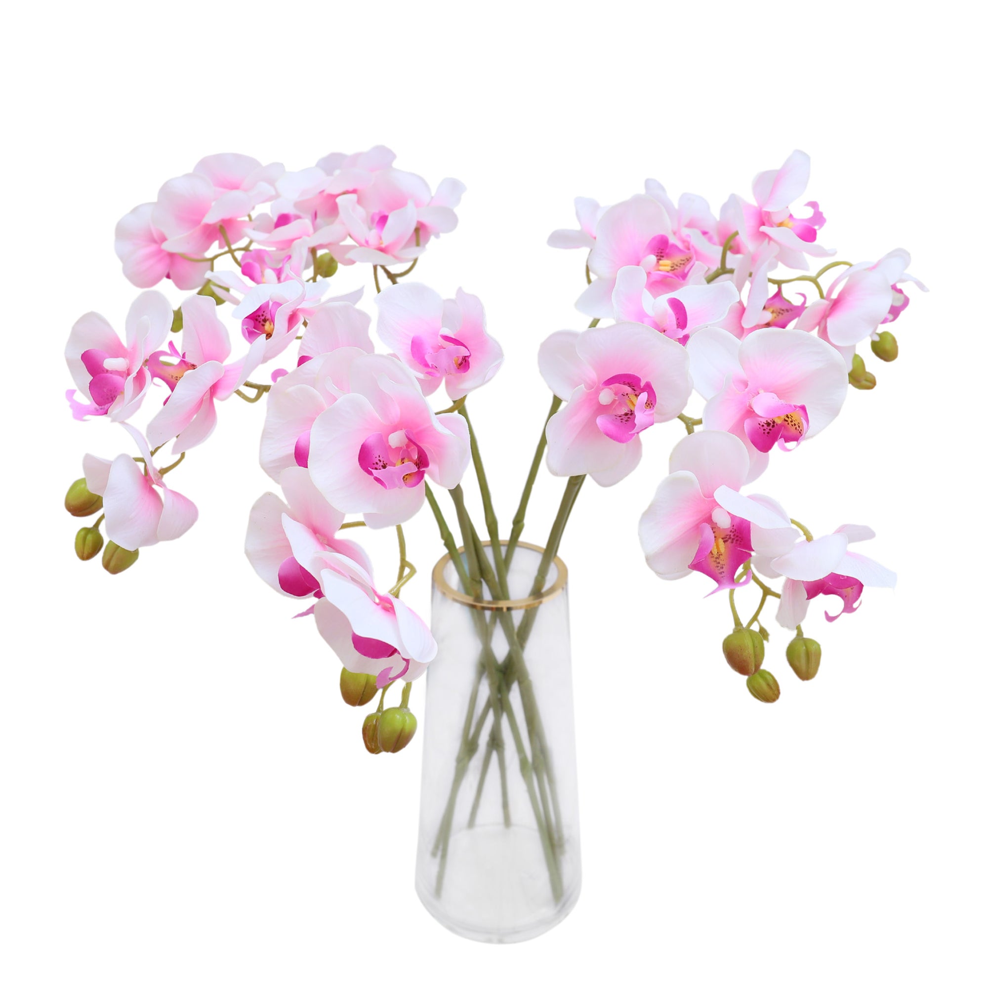 Real Touch Orchids Fake Phalaenopsis Flowers