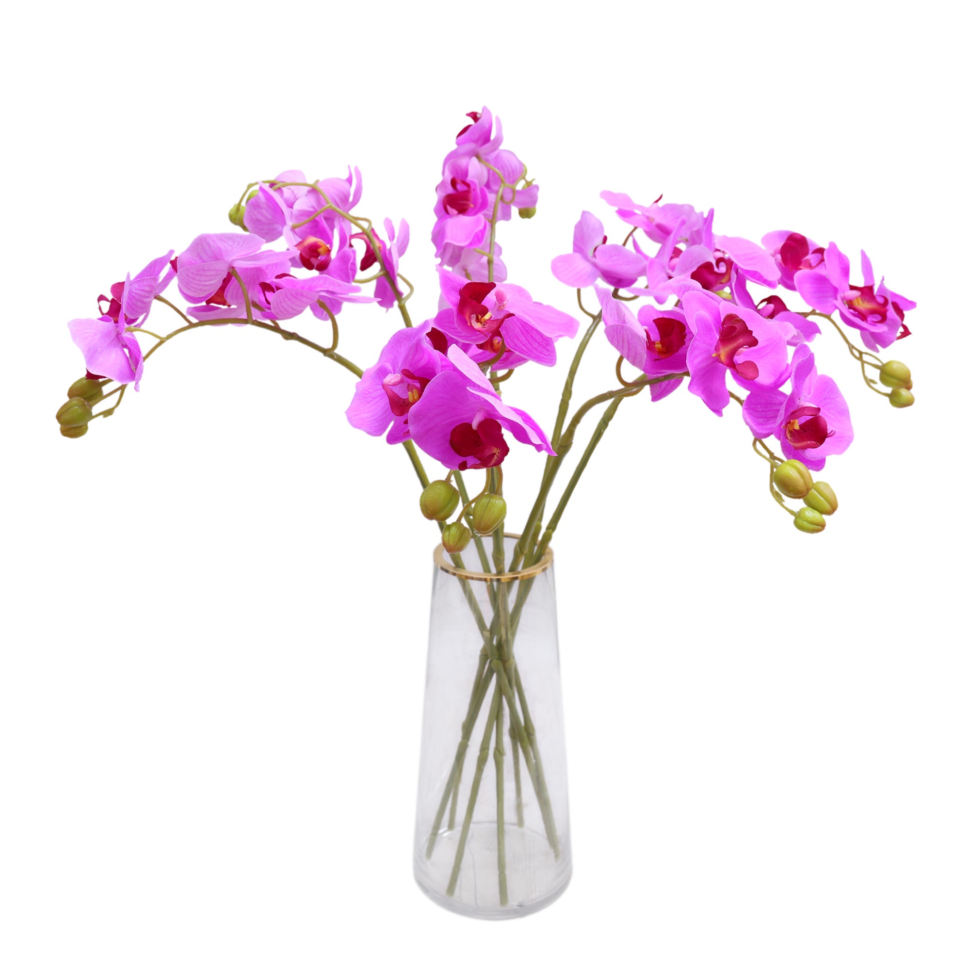 Real Touch Orchids Fake Phalaenopsis Flowers